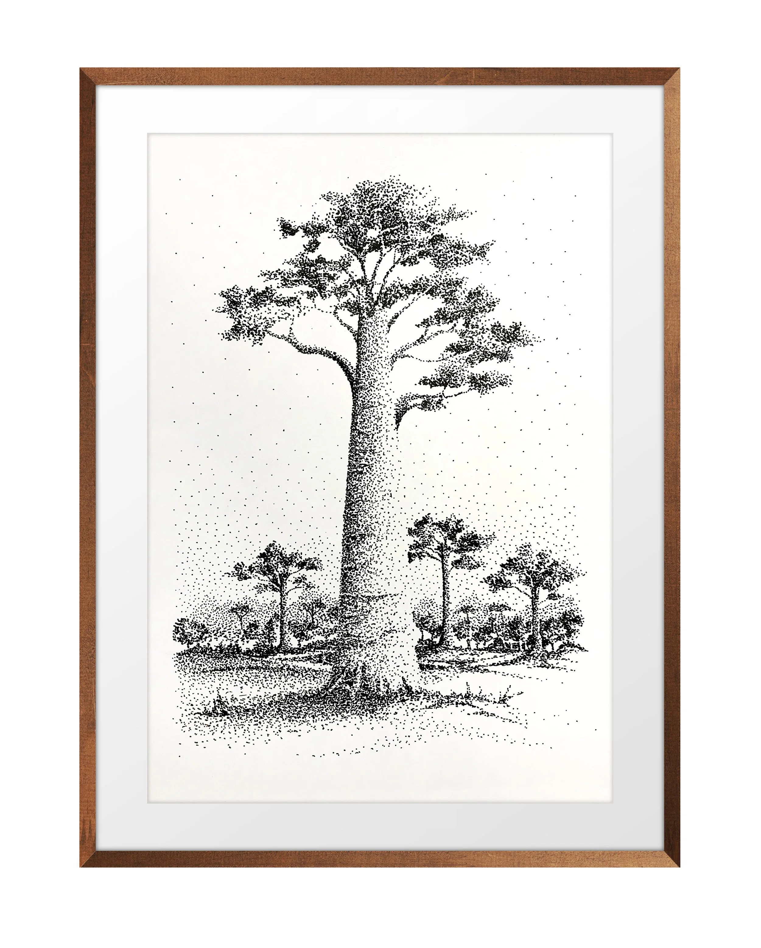 Arvore III_Humberto CPornaro.jpg