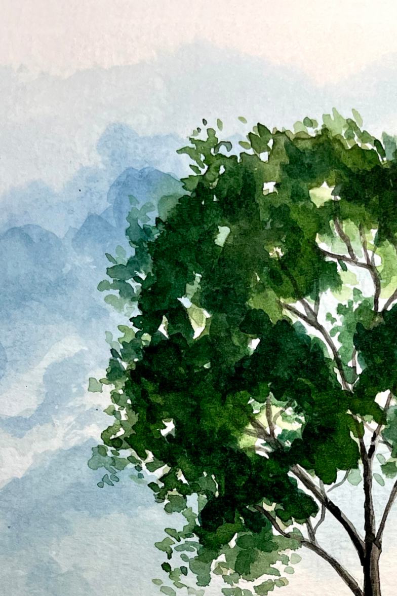 aquarela%2Barvore_humberto%2Bc%2Bpornaro1.png
