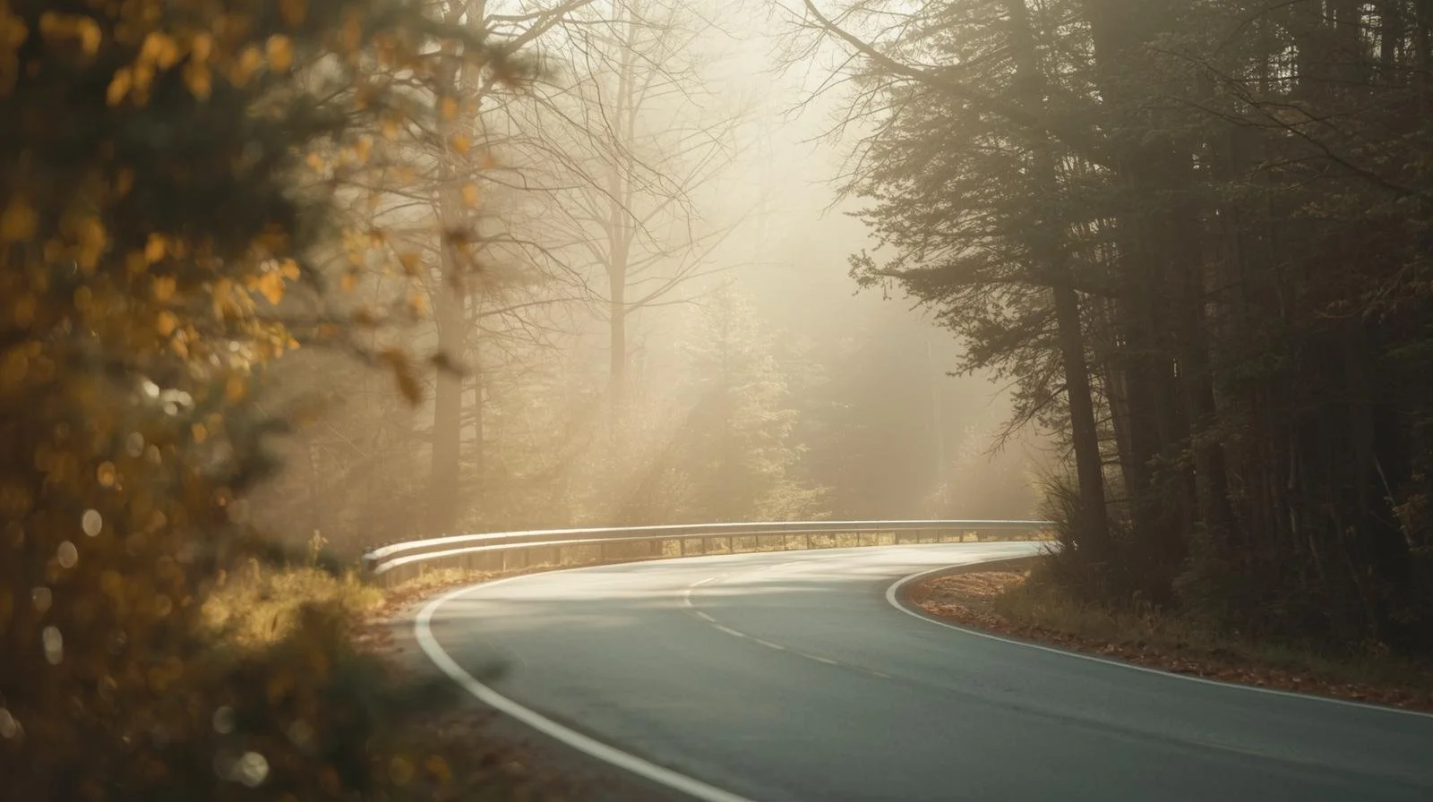 A Letter On Finding Steadiness In Routine