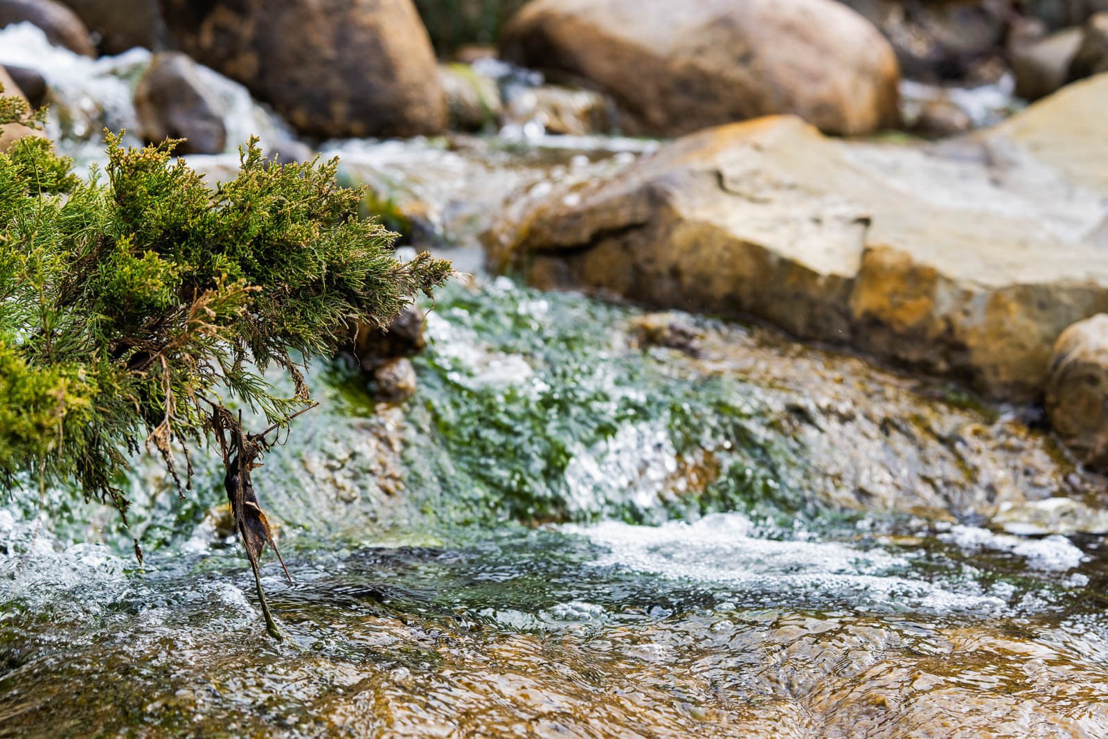 MeijerGardens-032122-230-Edit.jpg