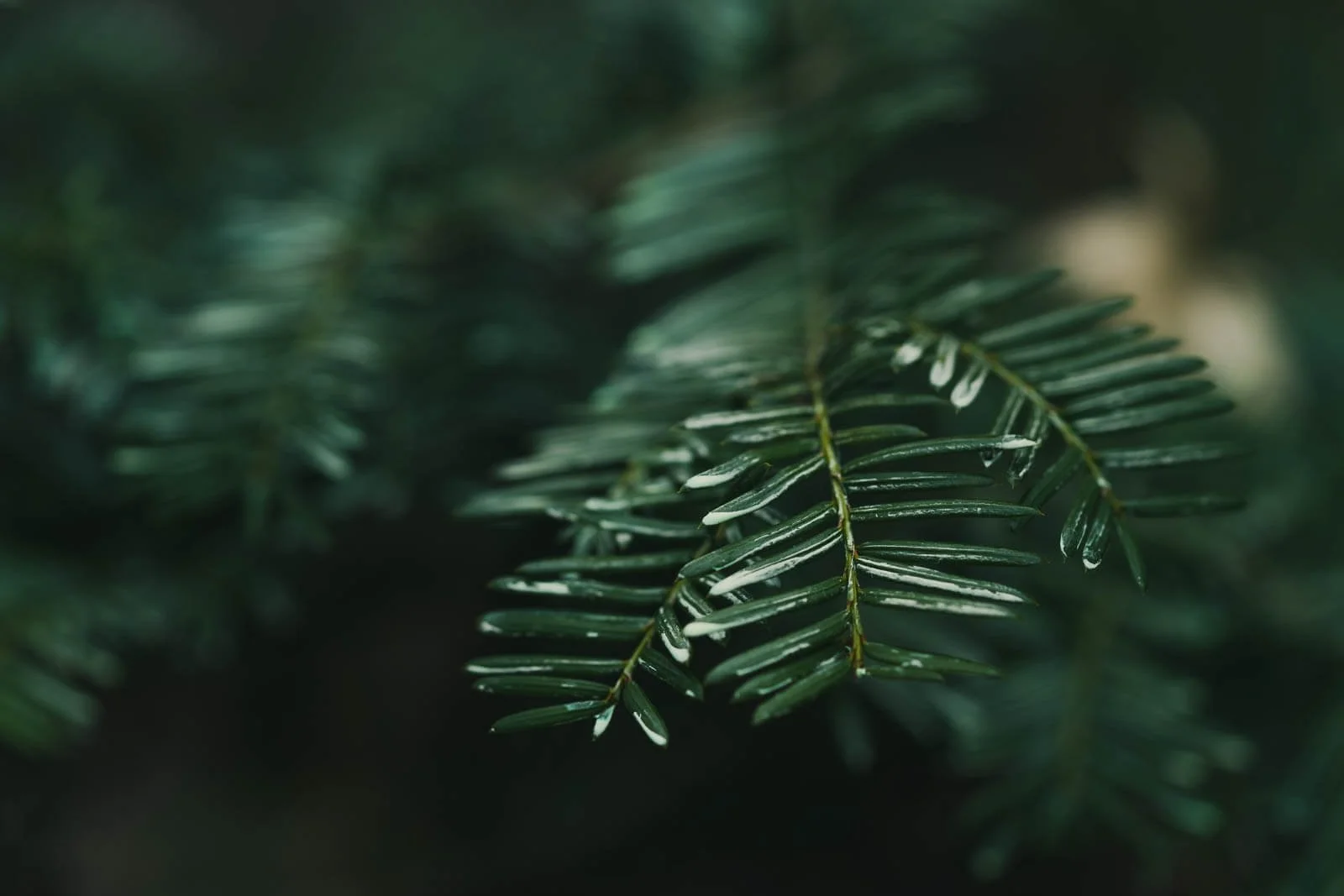 Four ways to get creative this spring