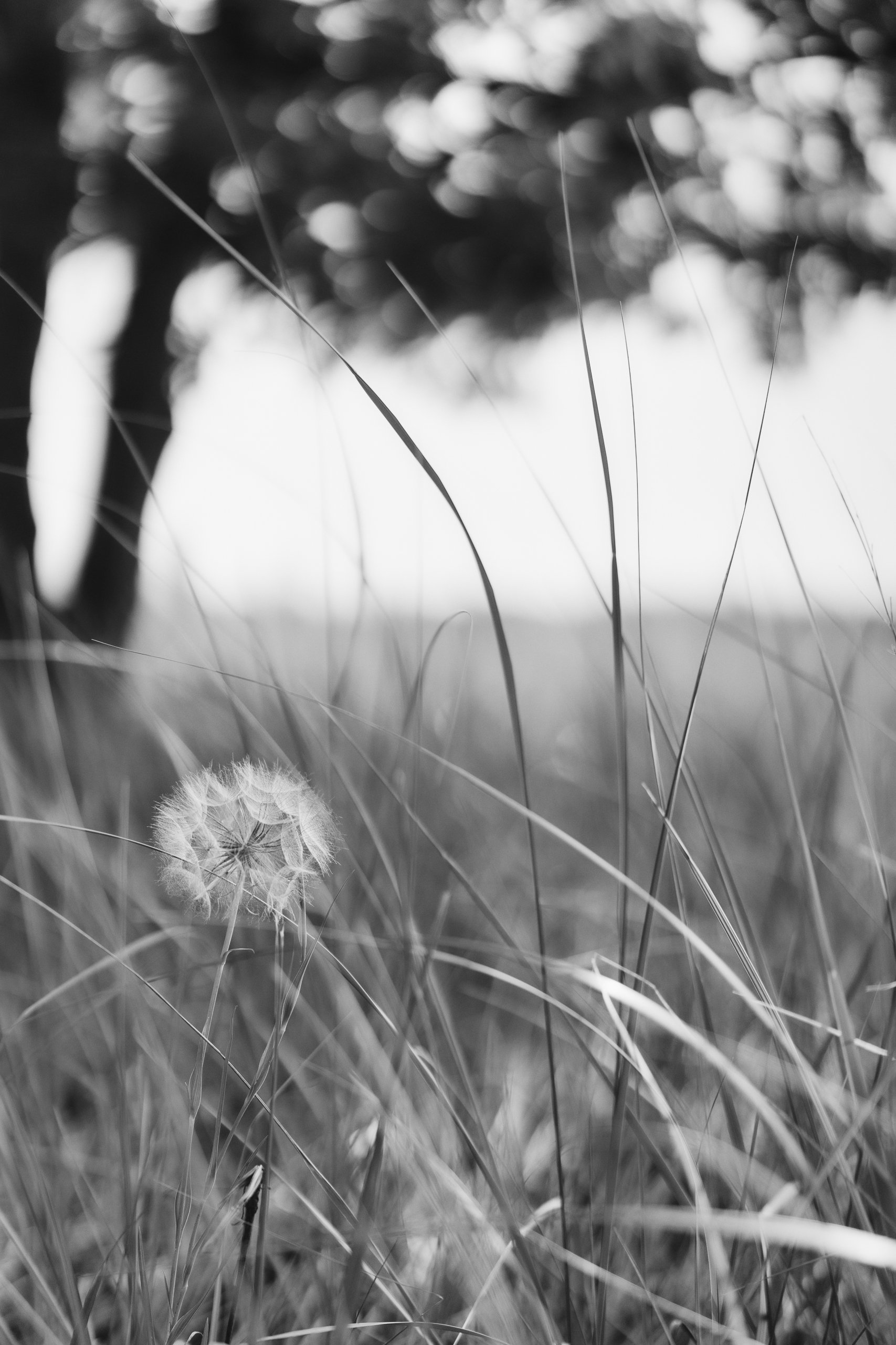 untitled-181-Edit-4.jpg