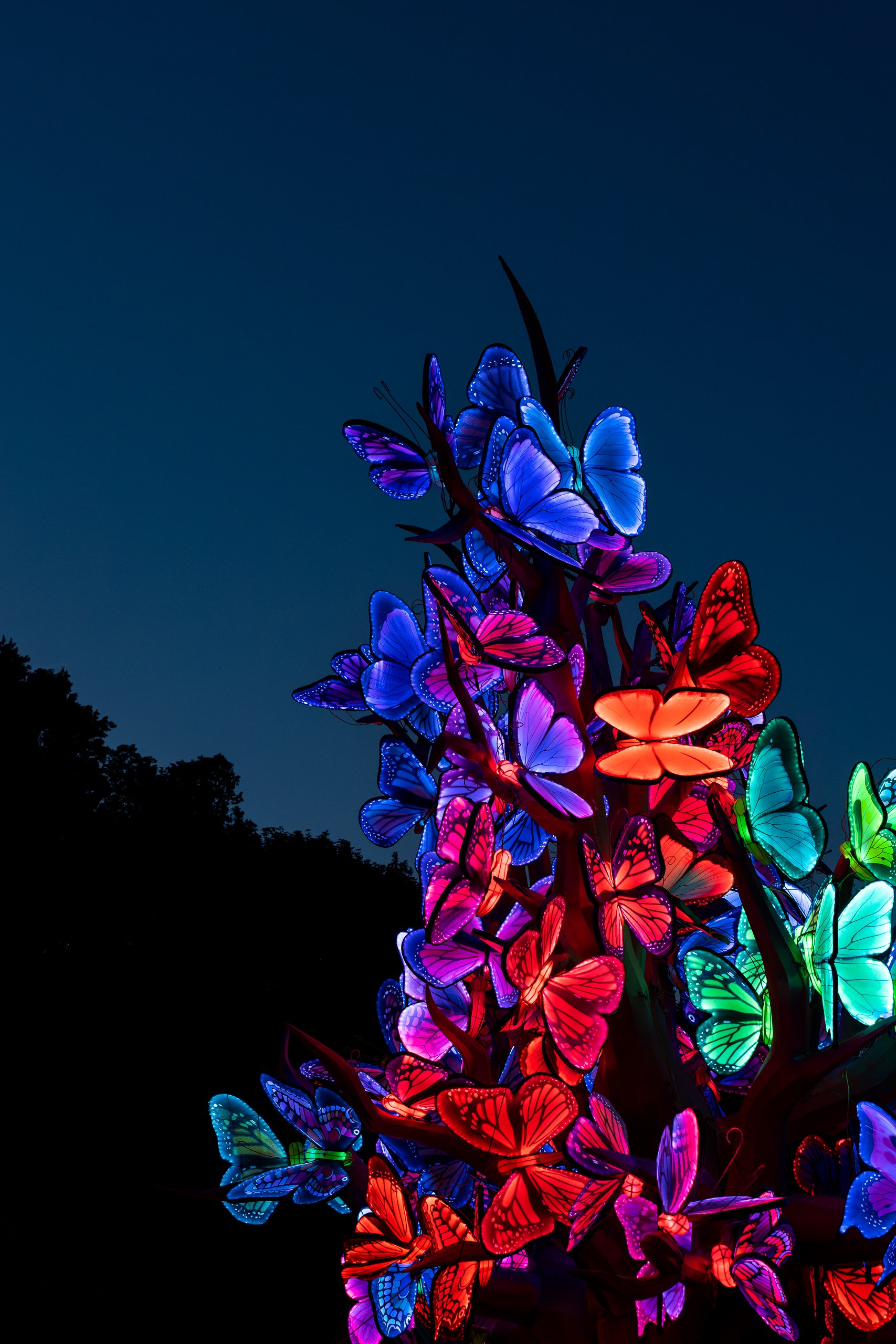 LanternFest-052523-3842-arw_DXO.jpg