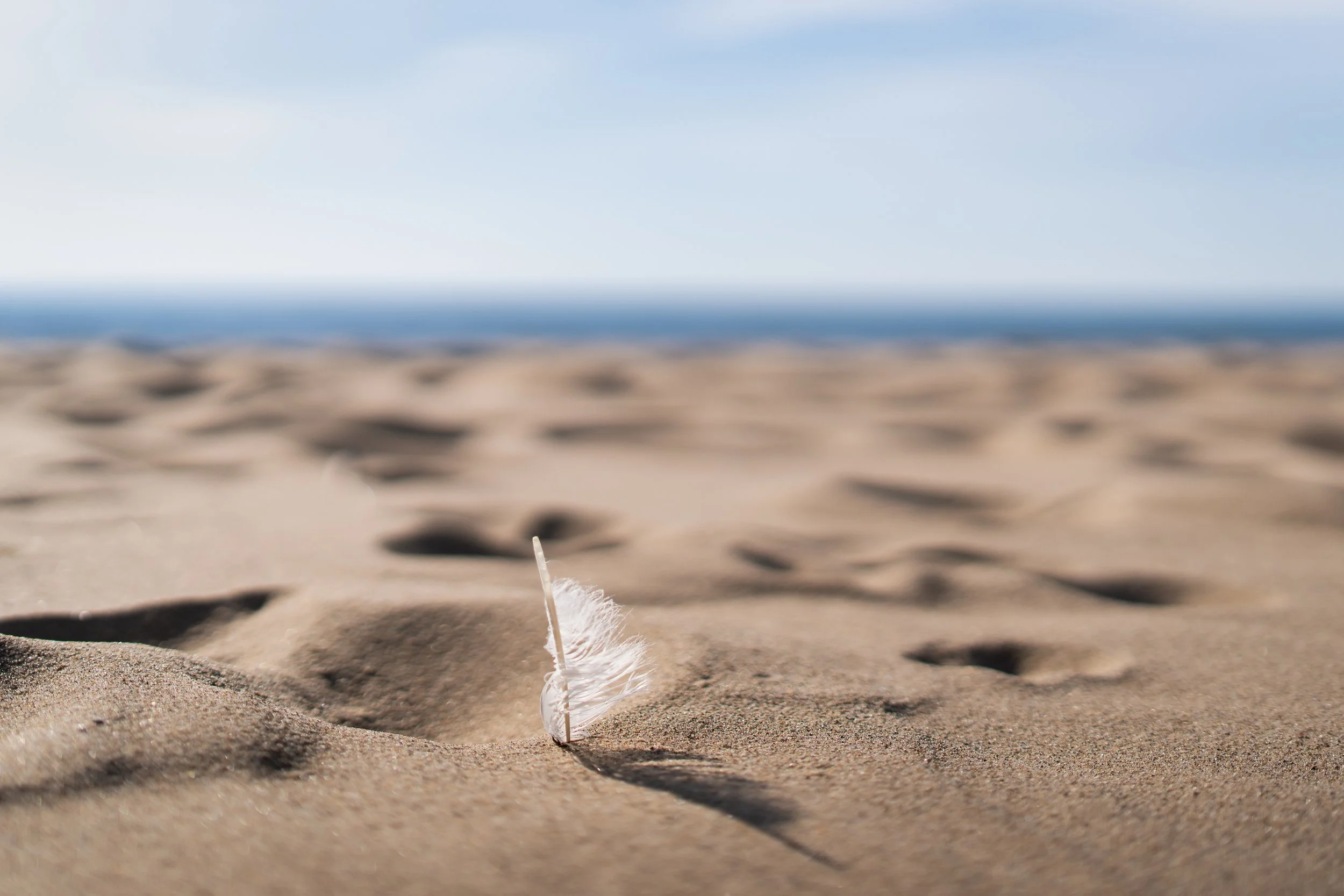 GrandHaven-041323-099-Edit-Edit.jpg