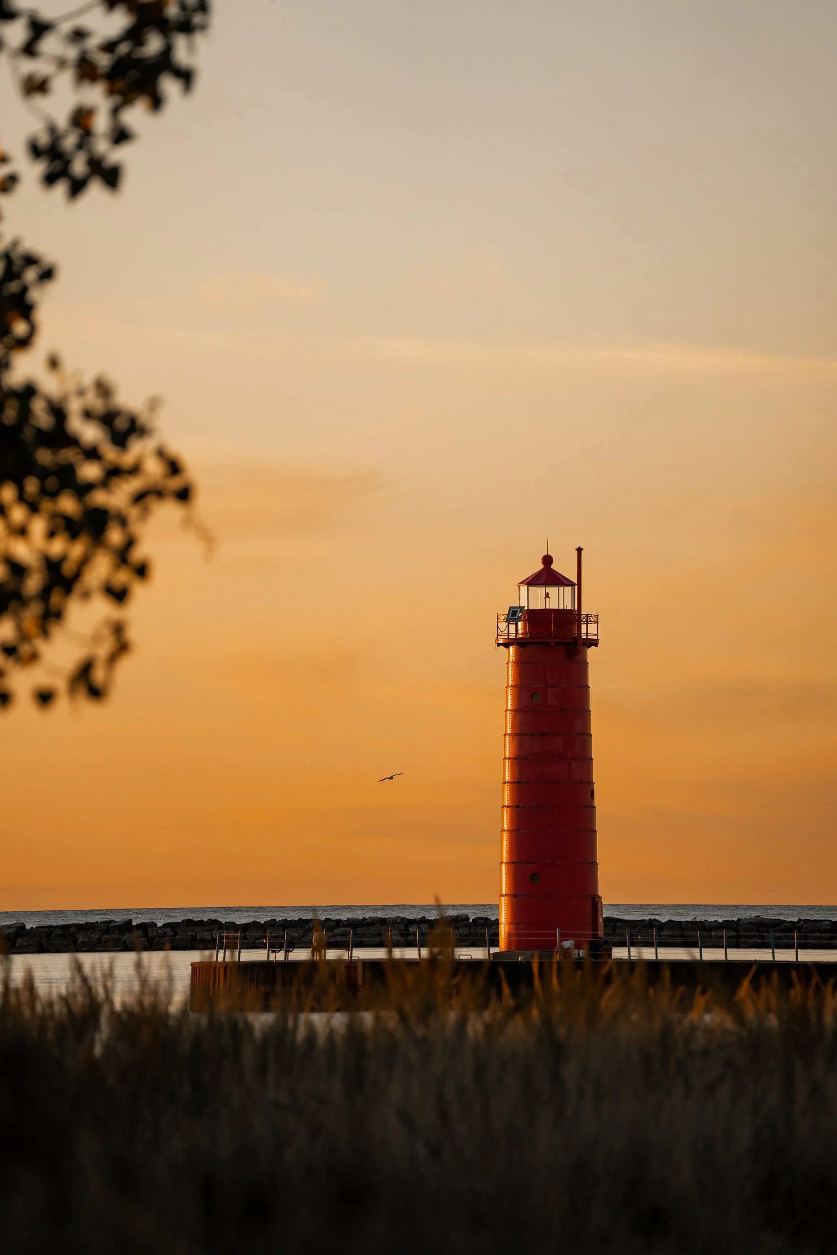 Lakeshore-100222-366-Edit.jpg