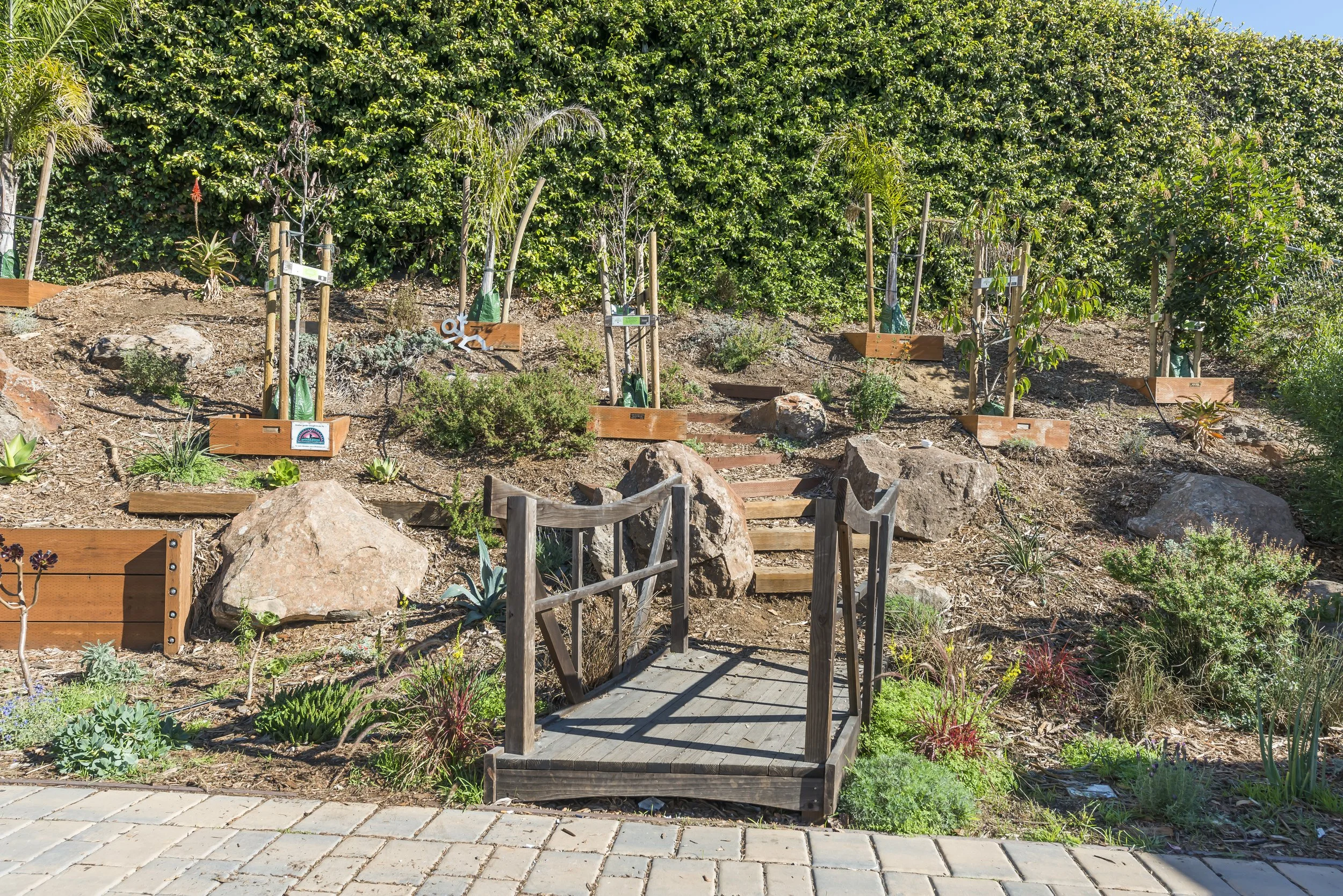 mini-park.jpg
