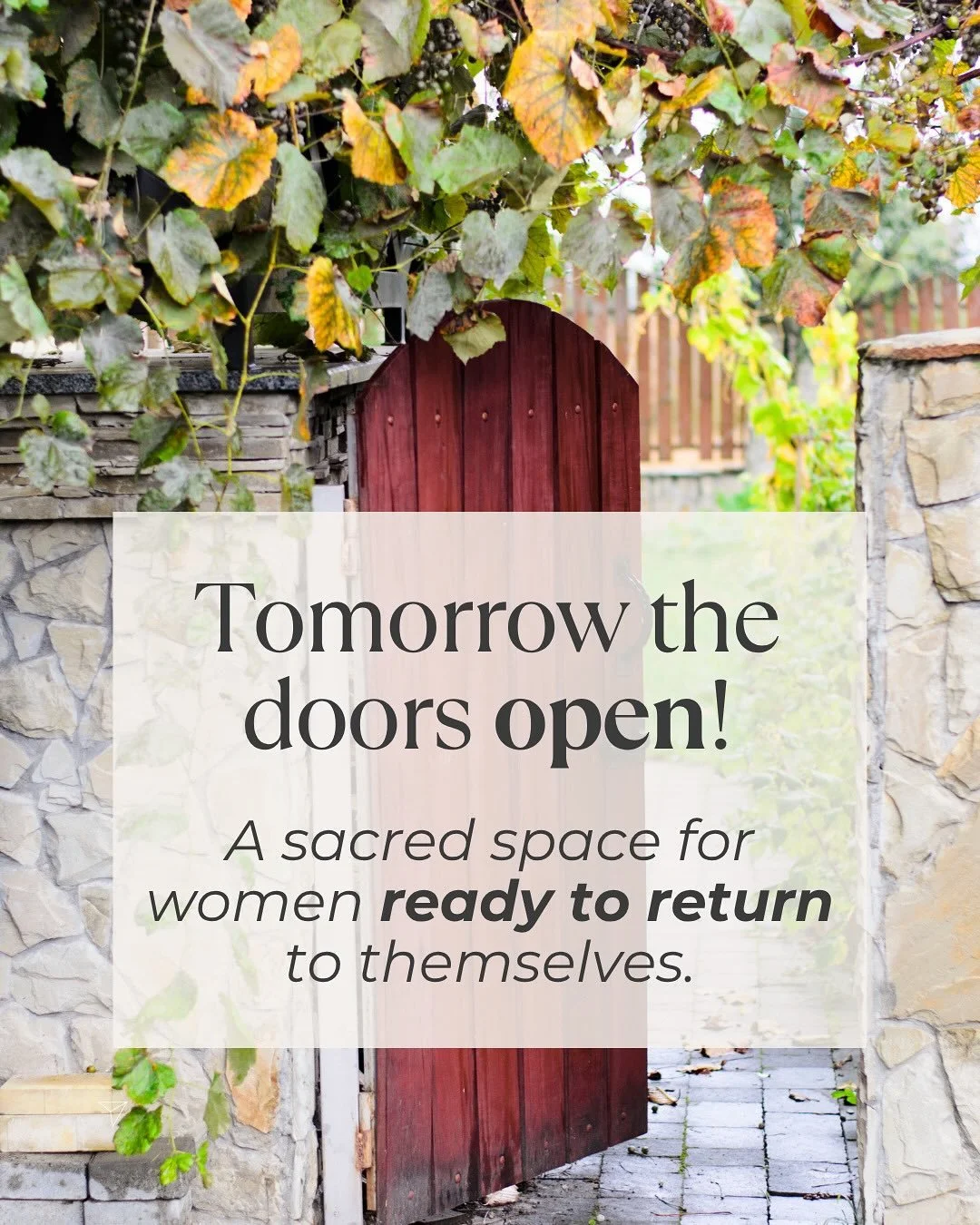 ✨ Tomorrow it begins ✨

My 3-month mentorship is not a step-by-step program.
 It is a living, intuitive space created uniquely for you.

In this space, you are invited to: 🌿 Release old patterns and limiting stories 🌿 Heal emotional wounds with com