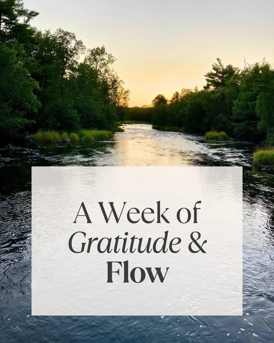 This week I&rsquo;m noticing the way gratitude softens the edges of transition and how preparation can feel like a quiet devotion.

The river teaches this rhythm so well: moving with what is, trusting the direction it&rsquo;s shaped to follow, meetin