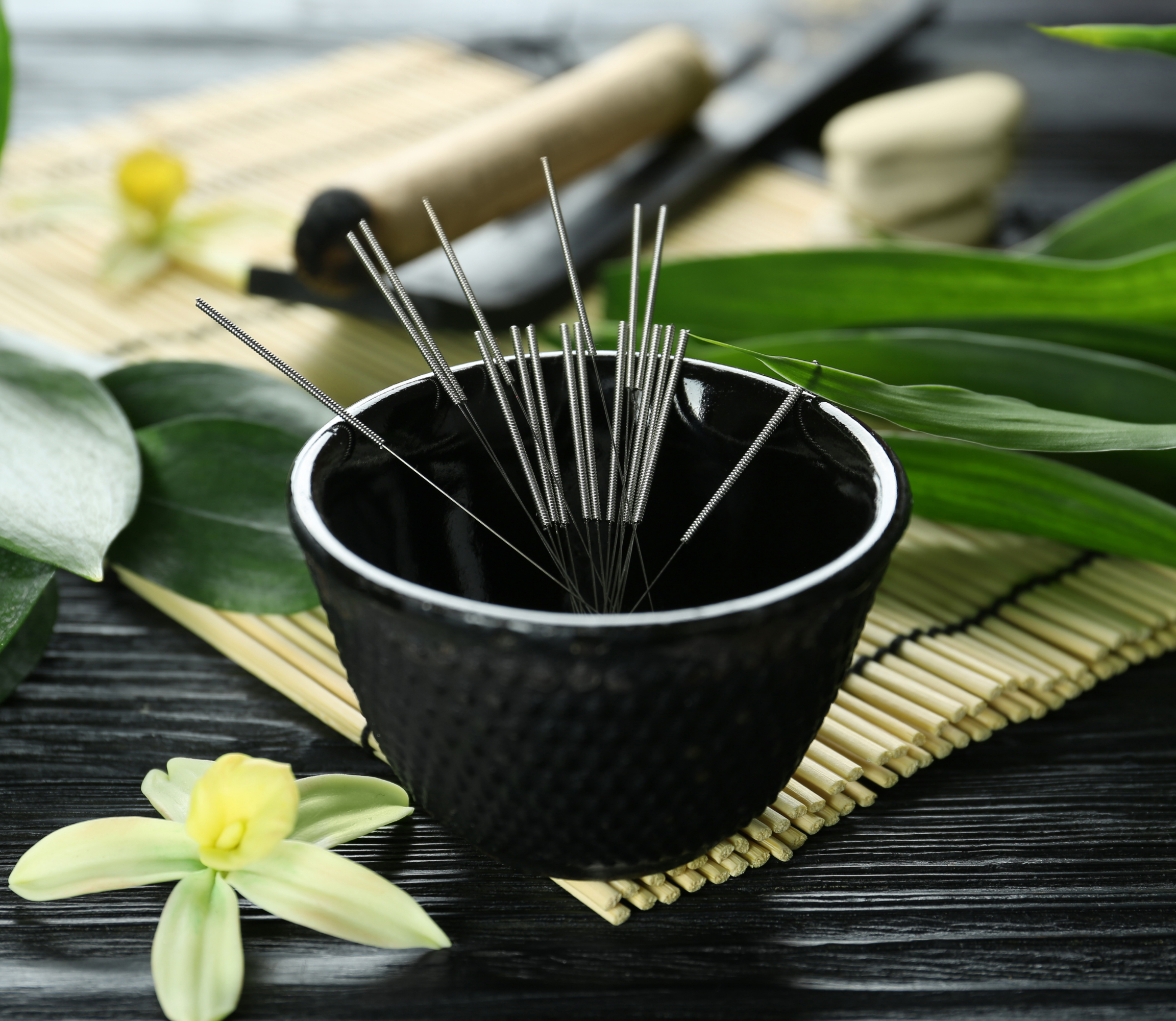 Acupuncture needles in a bowl surrounded by a flower and plant leaves.