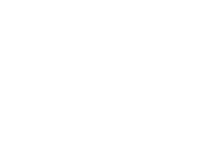 BCG-logo-white.webp