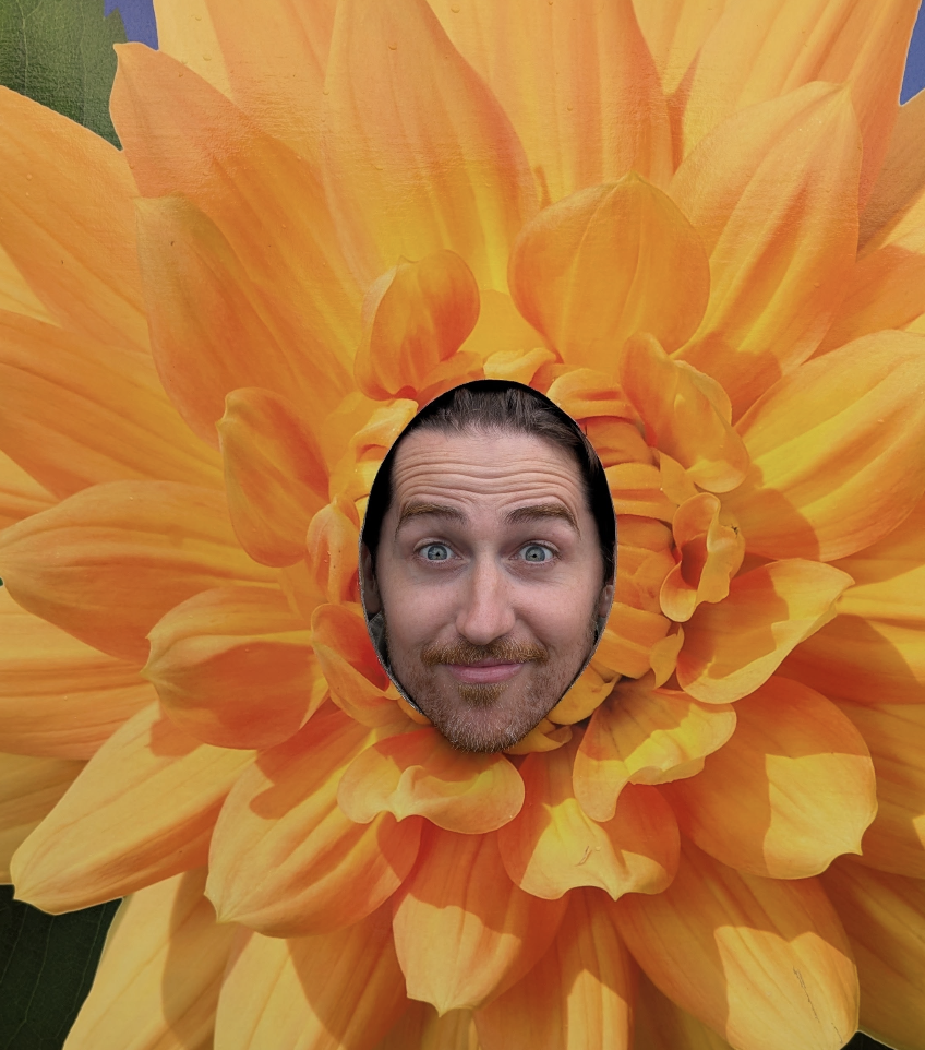 A close-up of a large pink dahlia flower with a man's face in the center, appearing through a circular cutout in the middle of the flower.