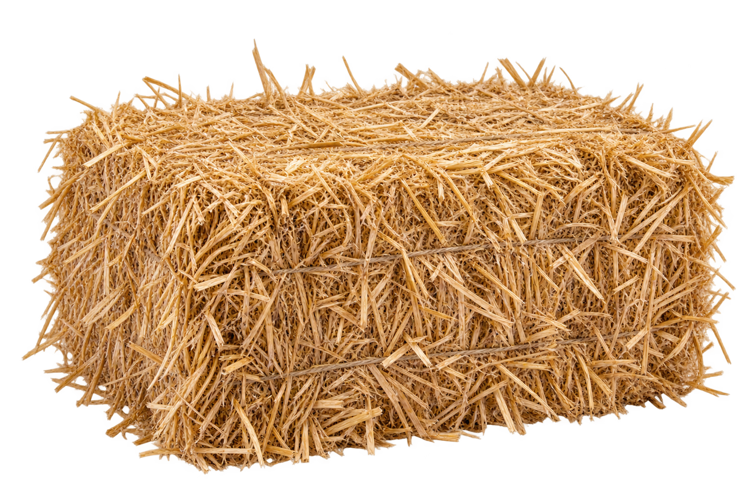 Extra Hay Bale