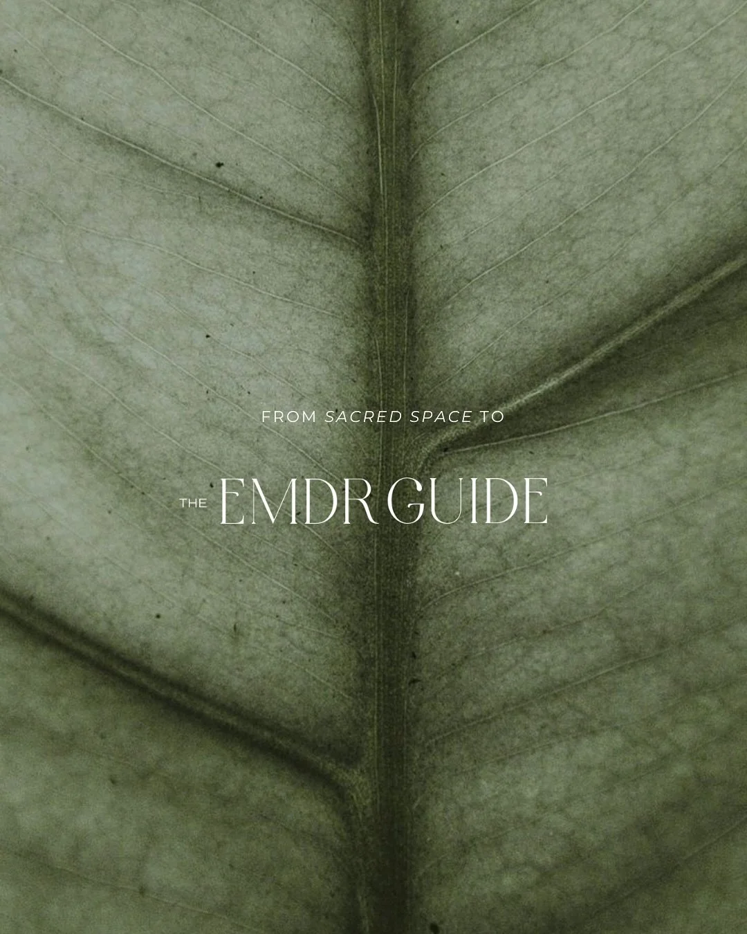 A new name, a new look, the same mission. 

Sacred Space Counseling is now The EMDR Guide &mdash; reimagined in collaboration with @ederradesign to better reflect our purpose. This is more than just a new look, it is a new chapter. 

Explore the new 