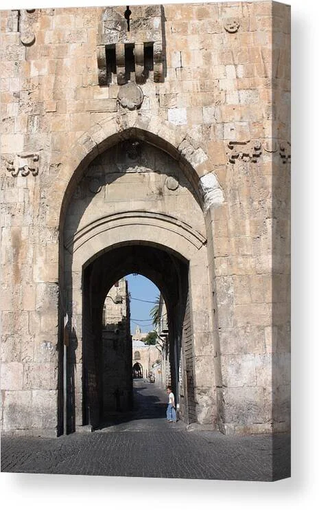 Rita - Lions Gate 1.jpg