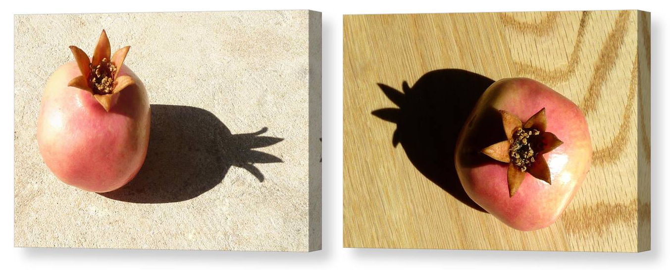 Rita - Pomegranate Paintings Both 2.png