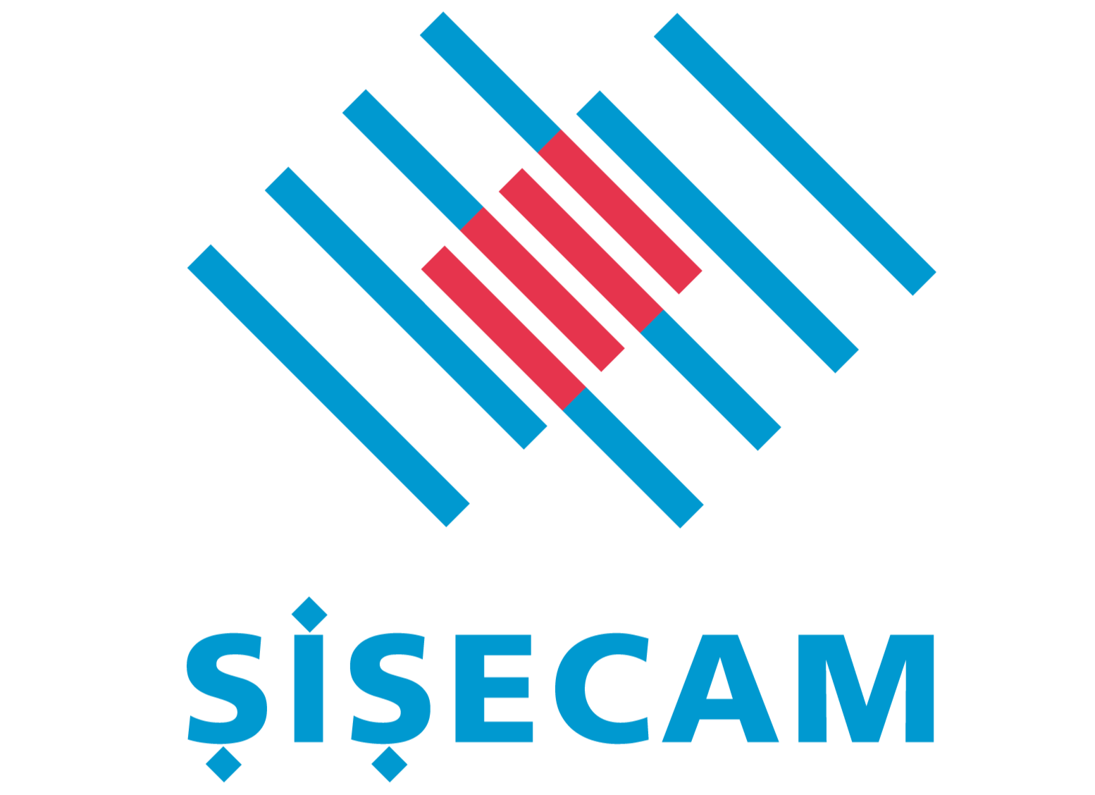 Şişecam Logo