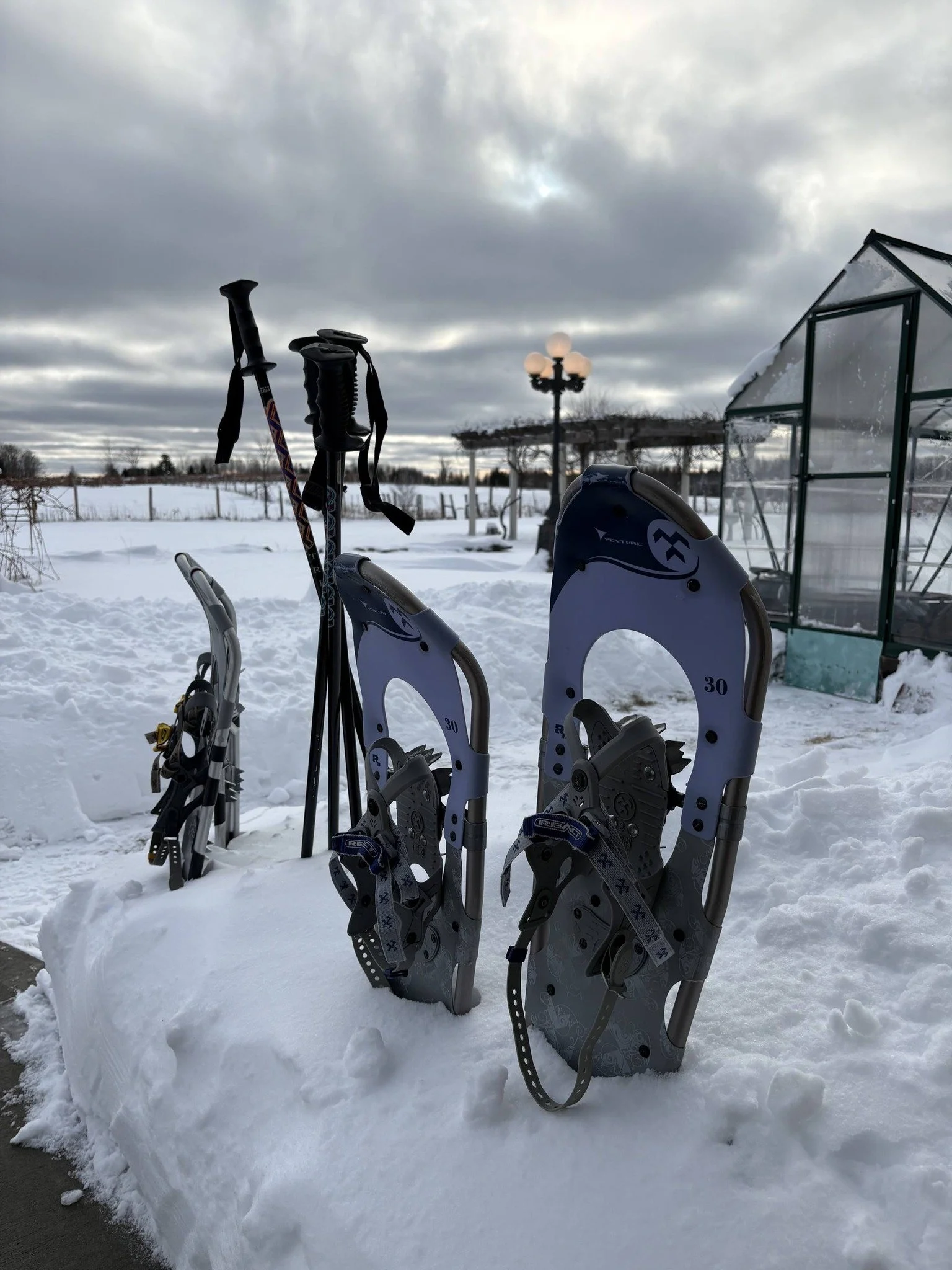 winter snowshoeing.jpg