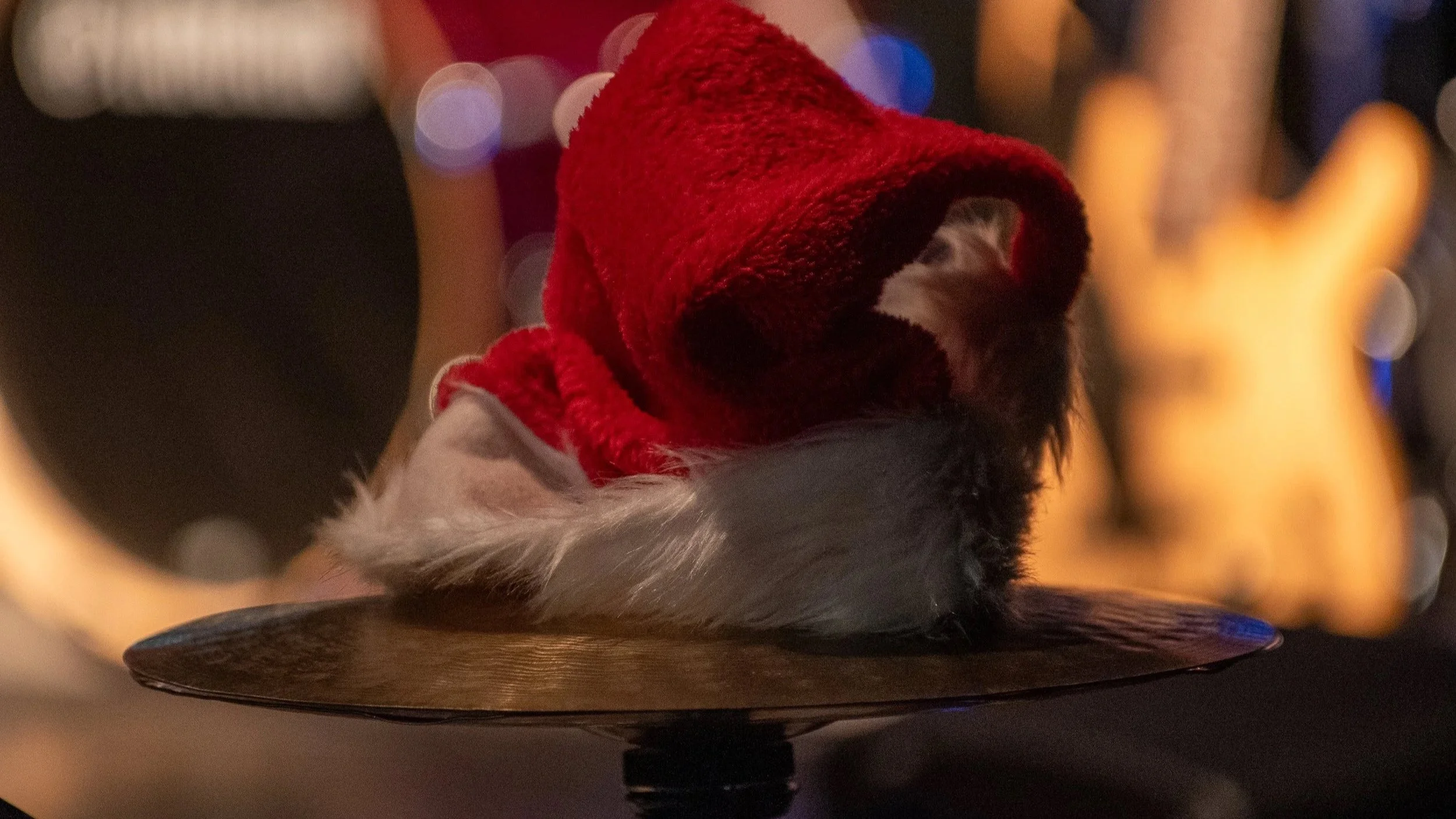 Non un Saggio, ma un Vero Show a Teatro: Il Trionfo degli Allievi Spazio Ritmo a Moncalieri