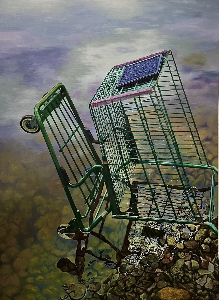 A green shopping cart partially submerged in water with rocks at the bottom of a shallow body of water.