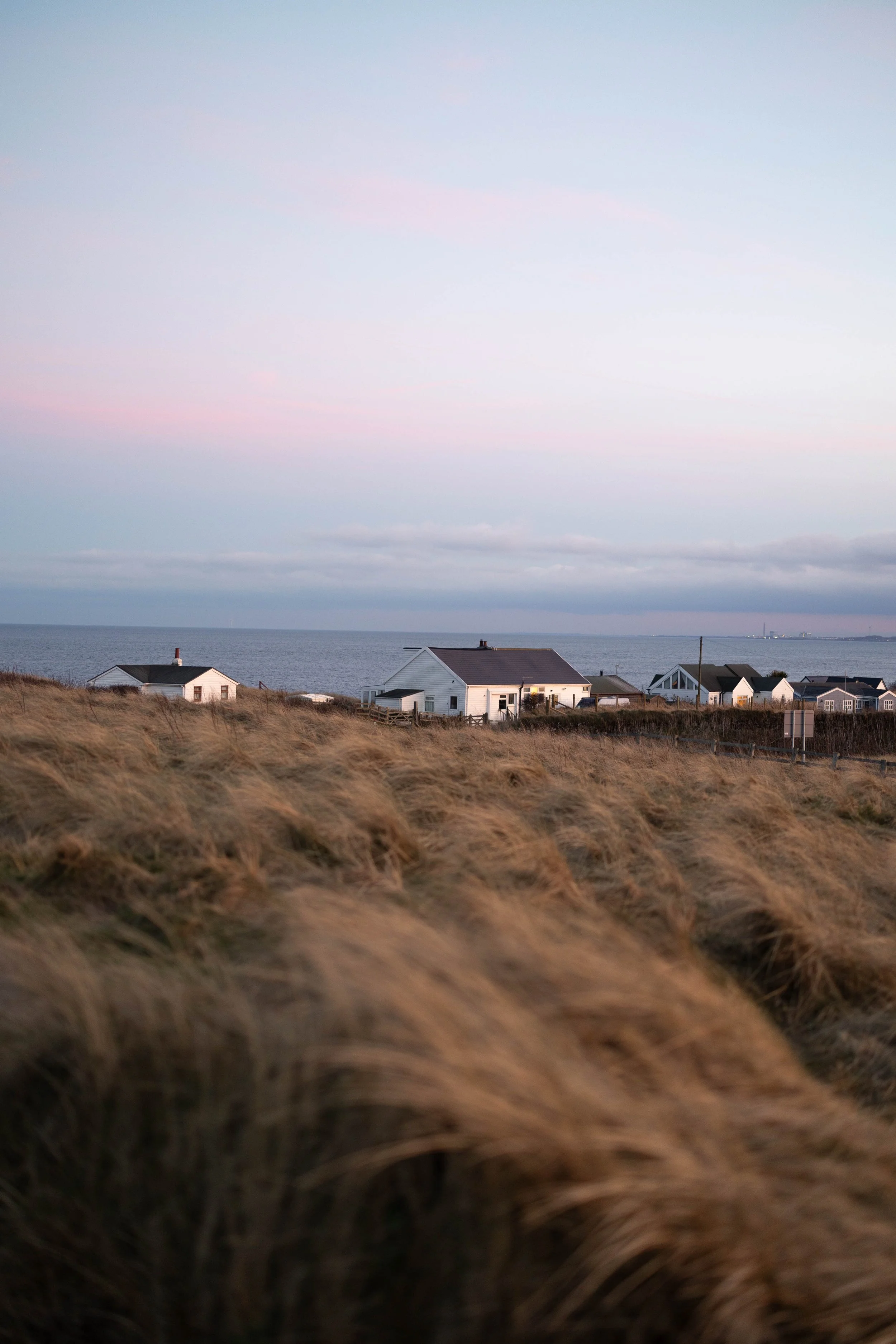 A coastal landscape with tall grass in the foreground, several houses near the shoreline, and the ocean extending to the horizon under a pastel sky.