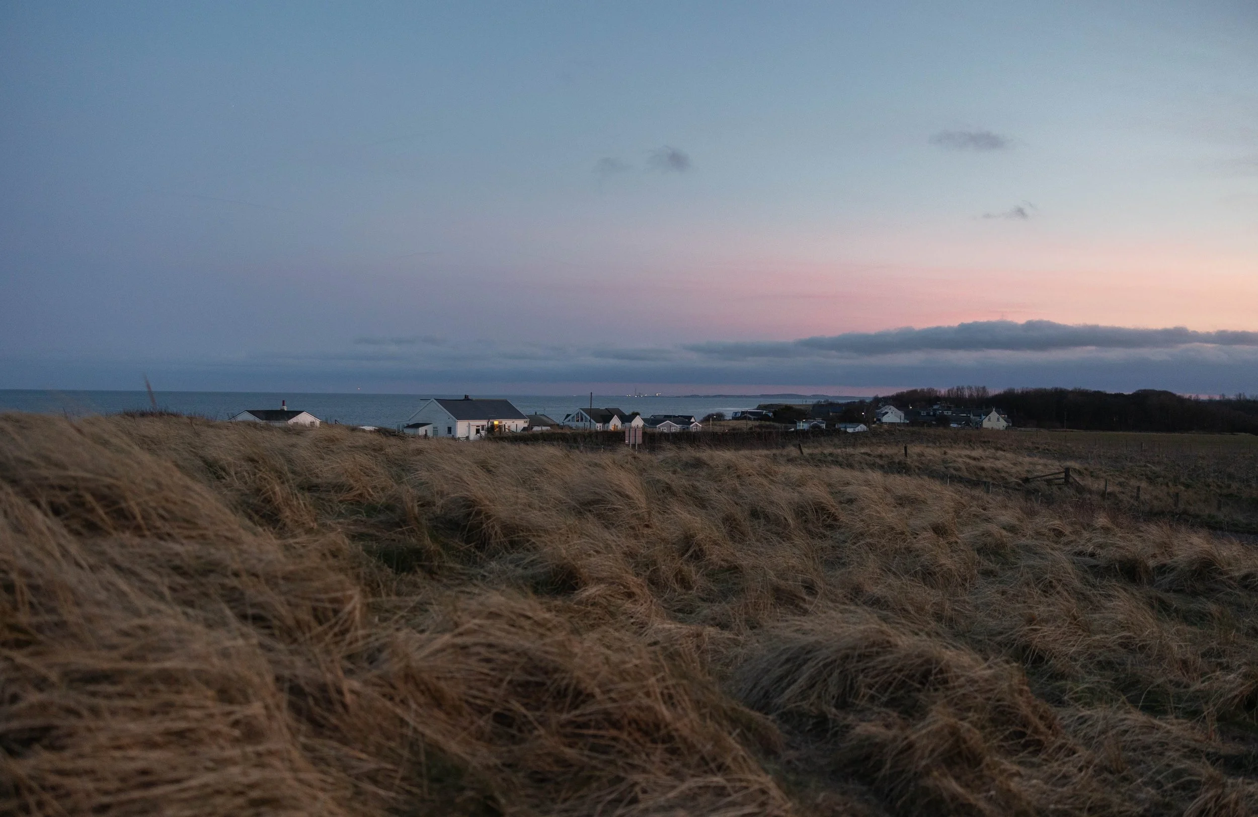 A coastal landscape at dusk with dry grassy dunes in the foreground, a few houses near the shoreline, and a calm sea under a sky with pink and gray clouds.