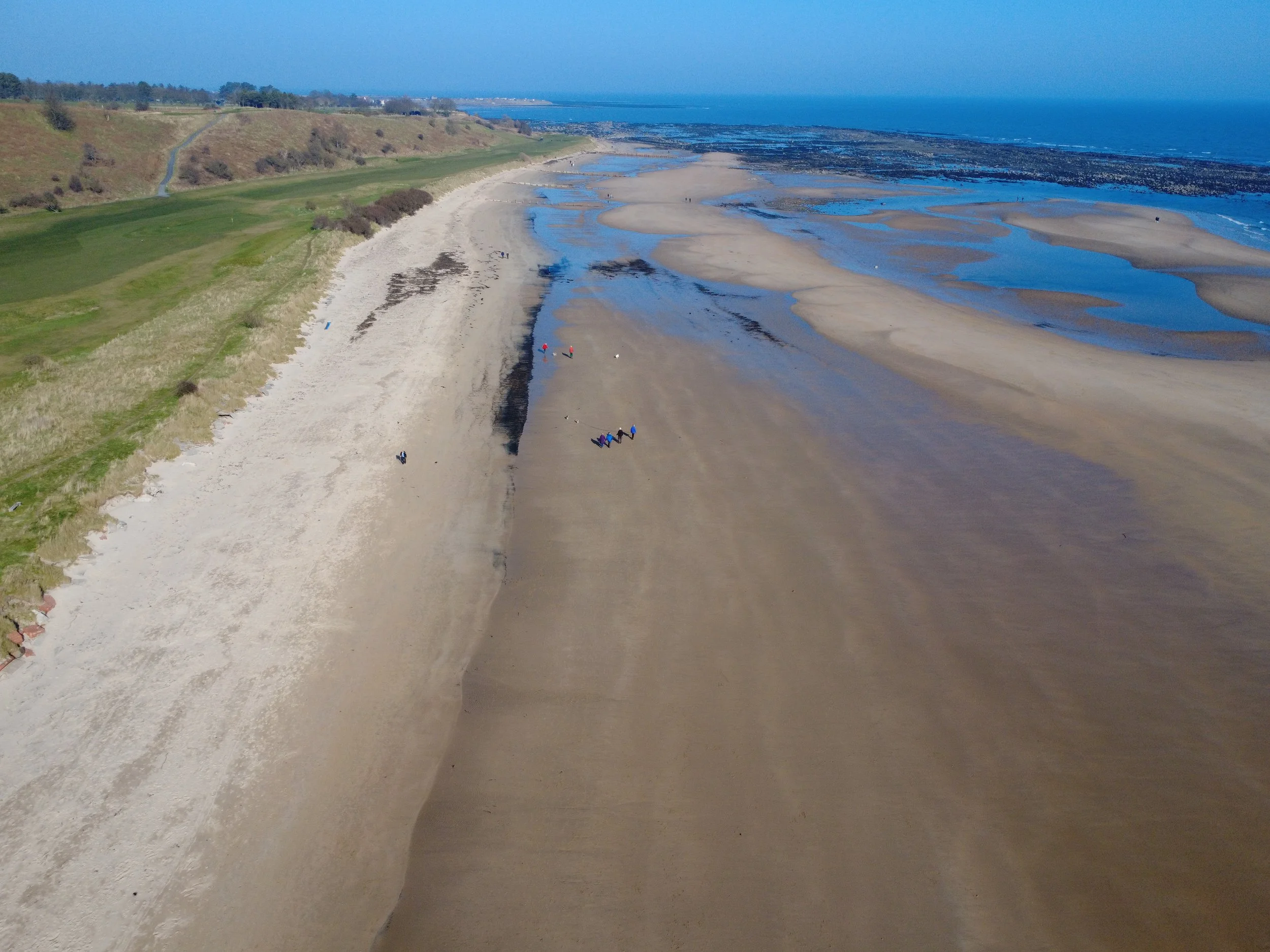 Bird's eye view of a beach with sand dunes and grassy hills on the left, and tide pools and wet sand on the right, extending into the ocean in the distance under a clear blue sky.