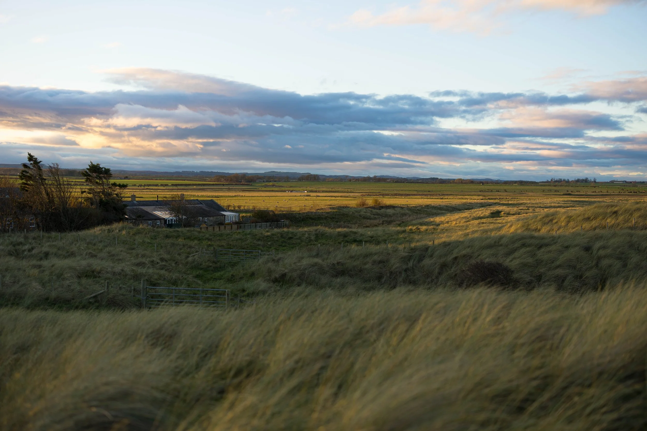 Scenic landscape with rolling grassy fields, a few houses, and a cloudy sky at sunset.
