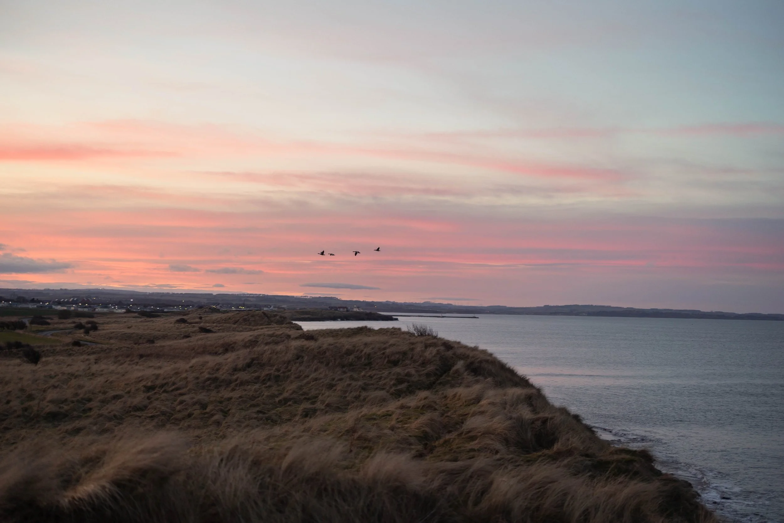 Sunset over a coastal landscape with grassy cliffs, a body of water, and a flock of birds flying in the sky.