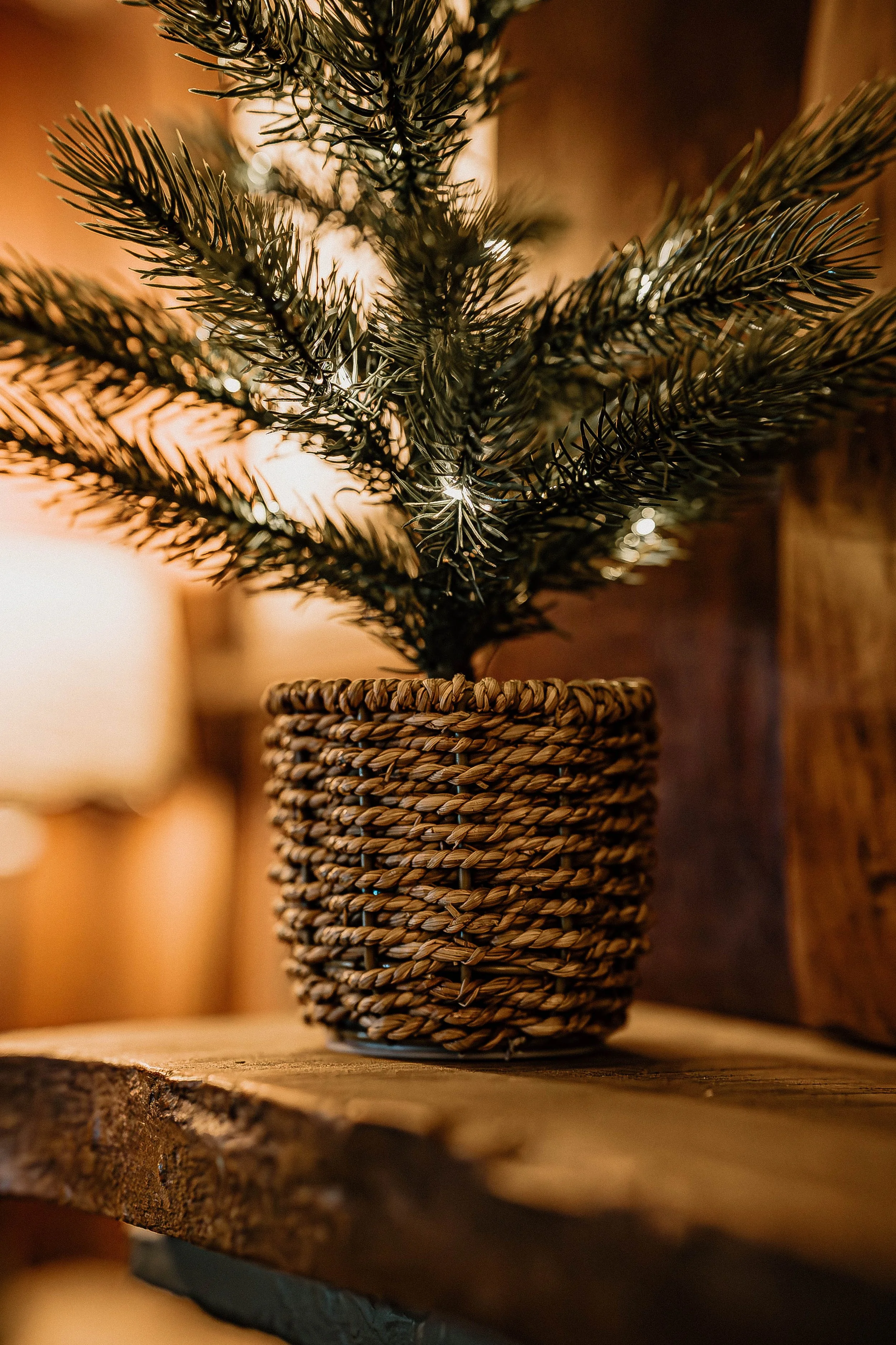 A small artificial Christmas tree with dark green needles in a woven brown basket, placed on a wooden surface in a cozy, warmly lit room.