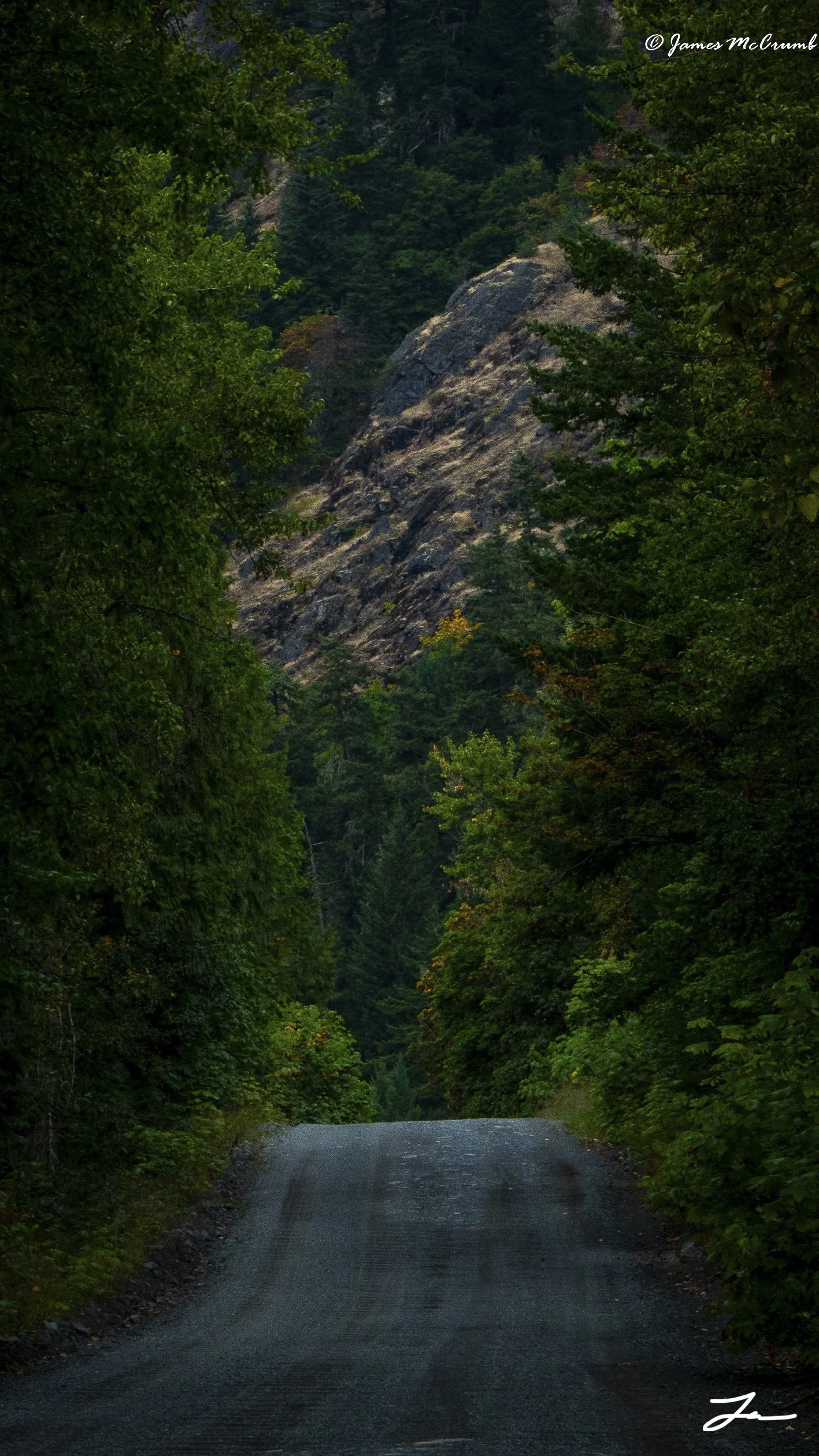 _1090993 - Copy.jpg