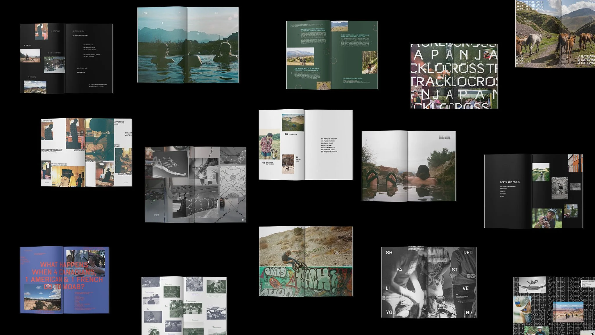 Collage_Banner.jpg