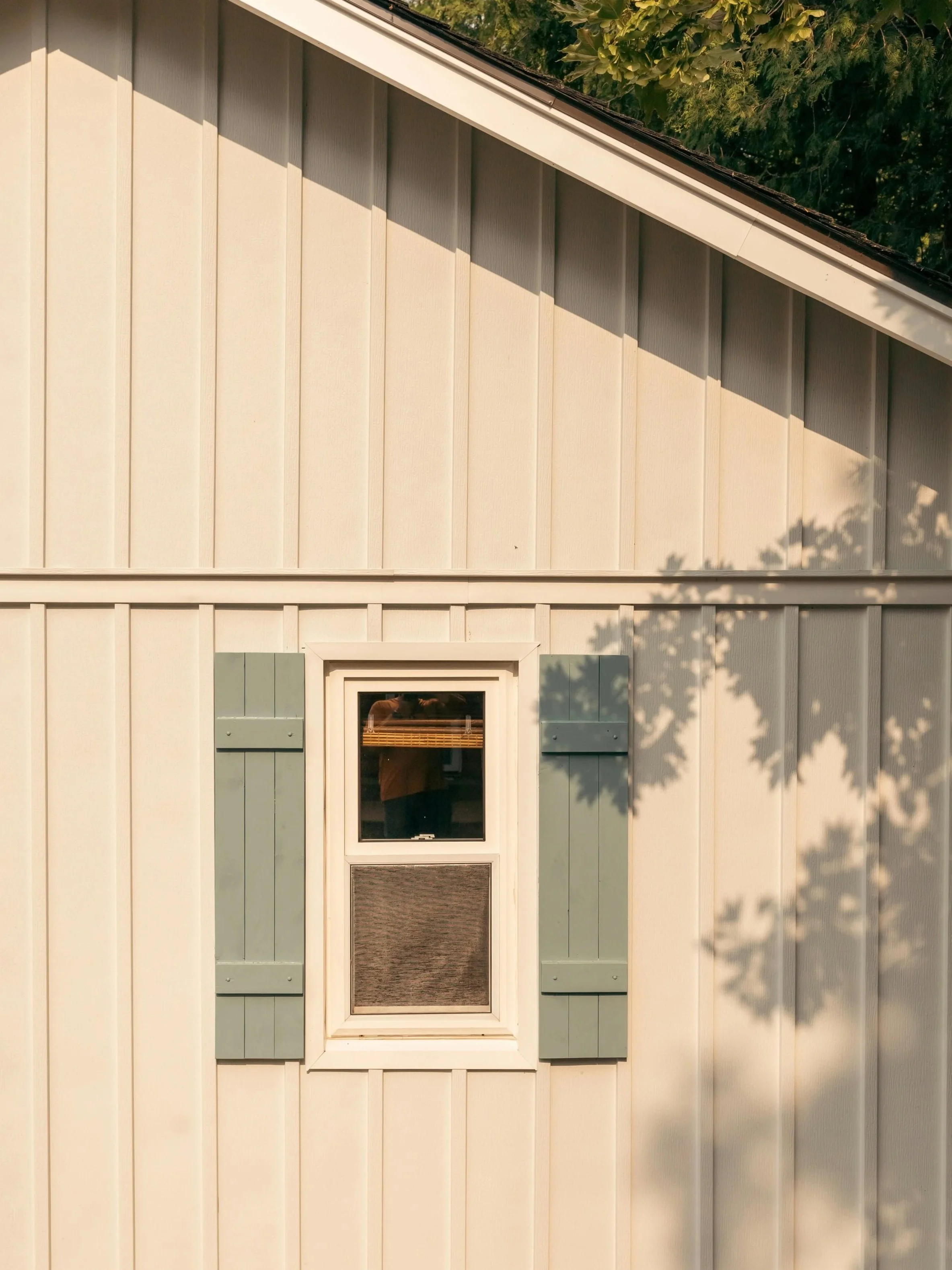 A close-up photo of a house wall with vertical beige siding, a small white-framed window, and green shutters. Shadows of tree branches are cast on the wall.