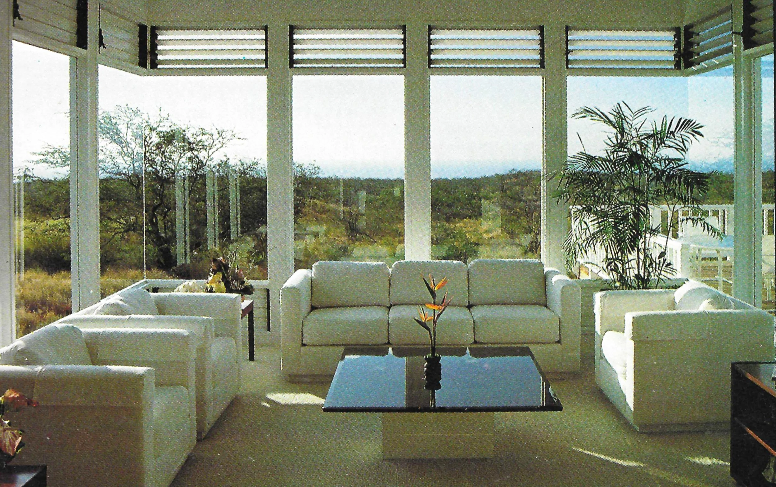 Living room with white sofas, glass coffee table with a flower vase, large windows showing an outdoor landscape with trees, and houseplants.