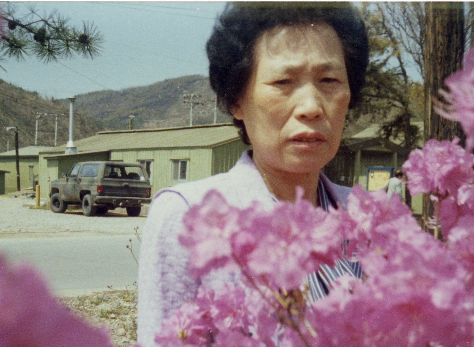 A woman with short black hair with a serious expression, standing outdoors behind pink flowering branches, with a green building, a parked vehicle, power lines, and hills in the background.