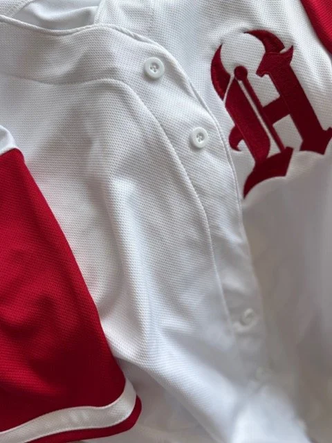 jersey closeup2 Medium.jpeg