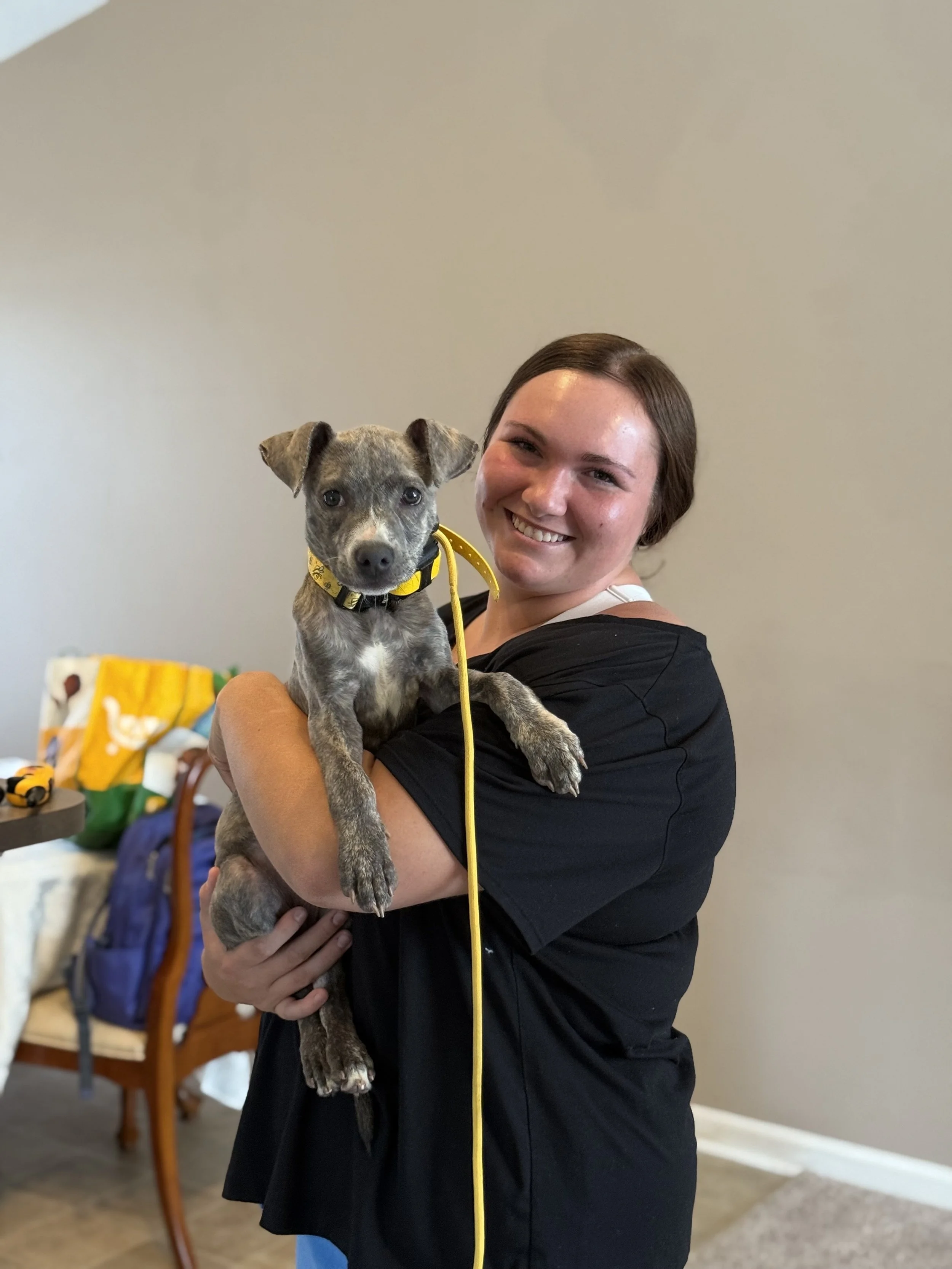 Puppy Training
