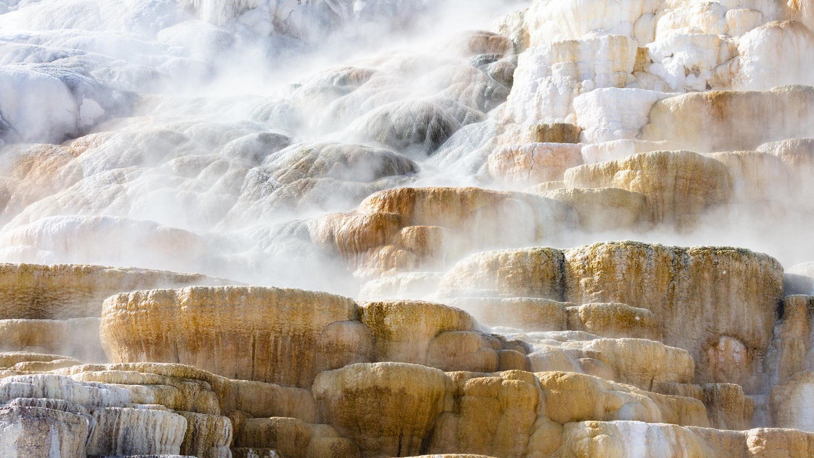 Mammoth Hot Springs
