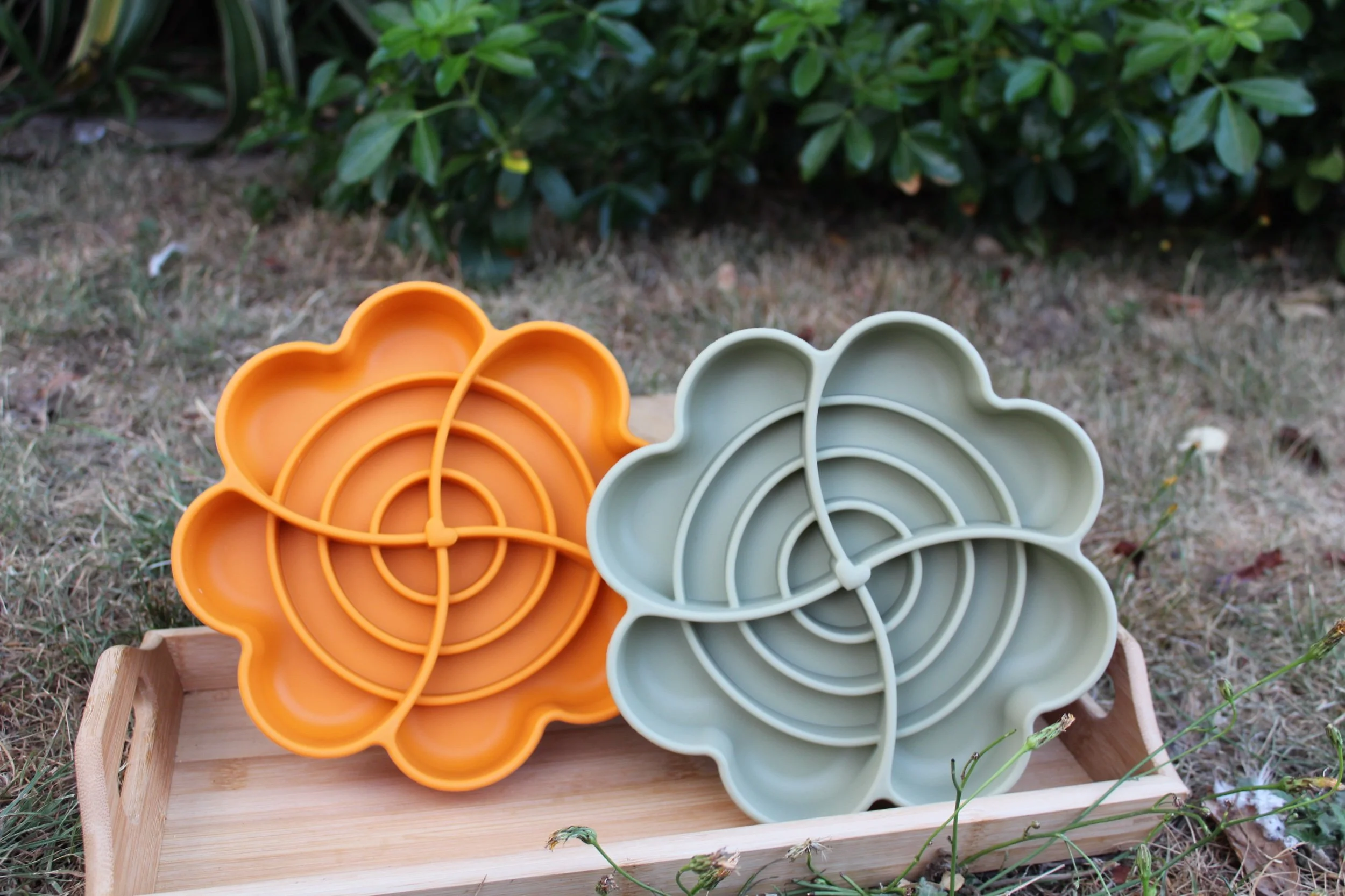 Enrichment Bowls