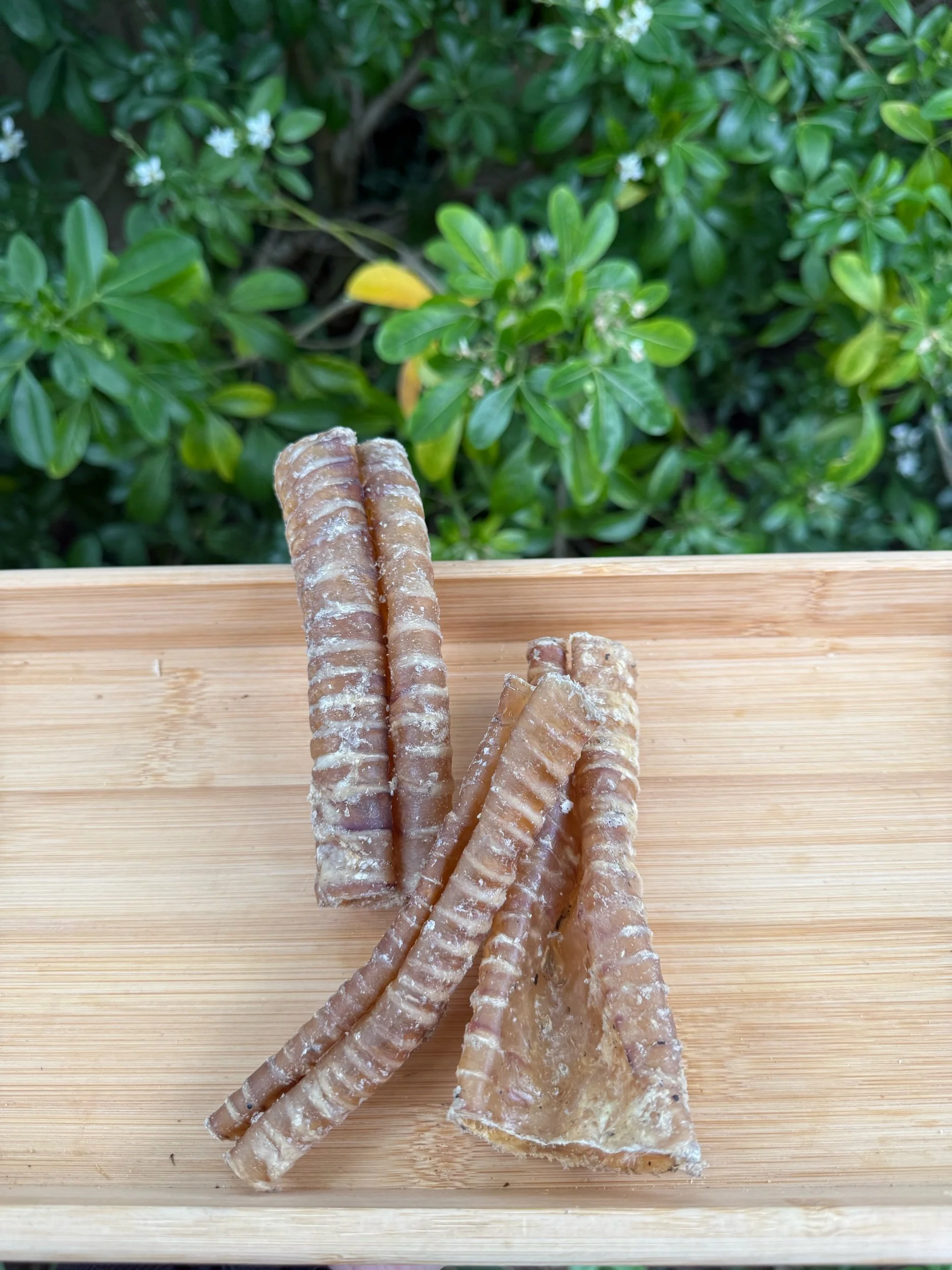 Beef Trachea Pieces - 100g