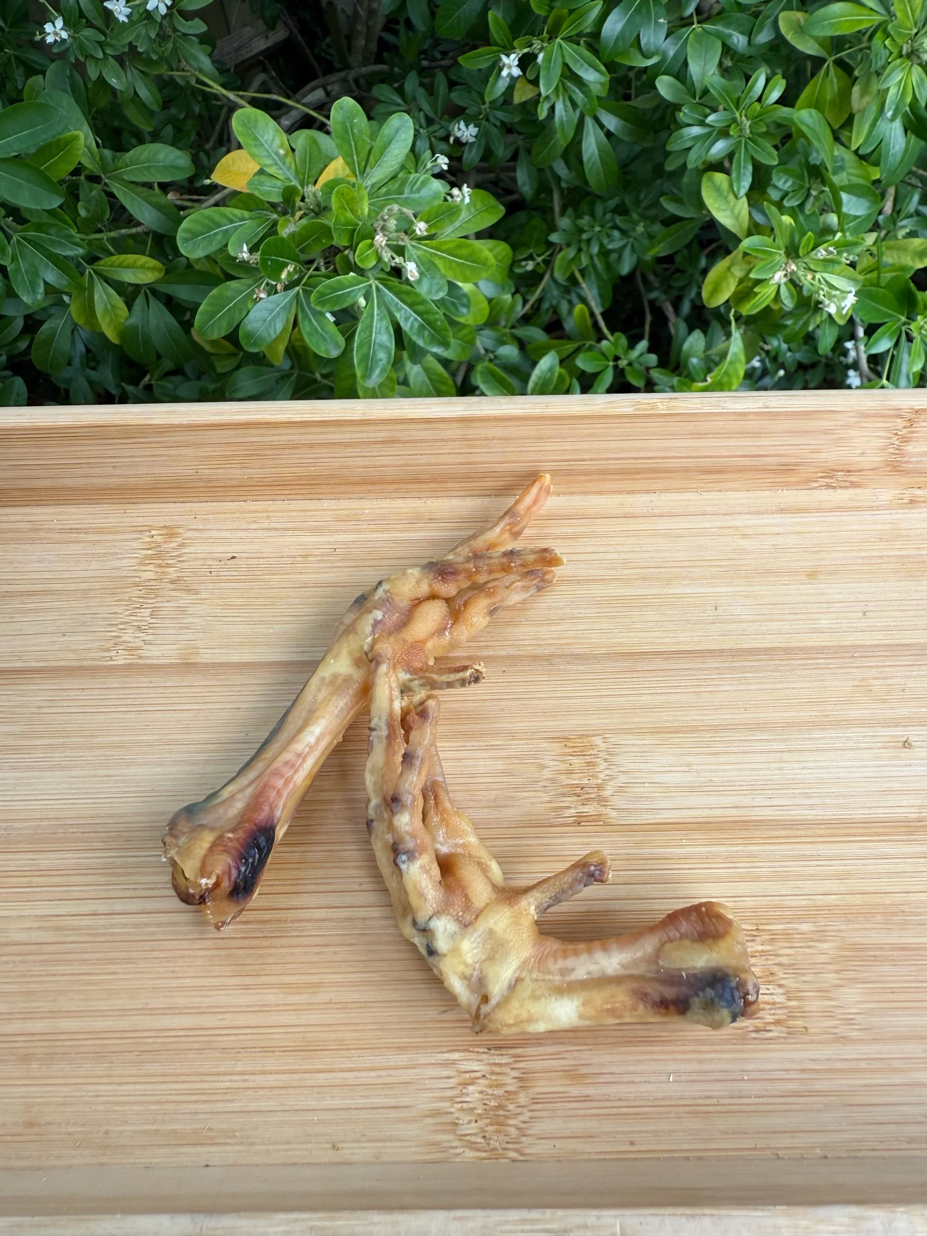 Chicken Feet - Plain
