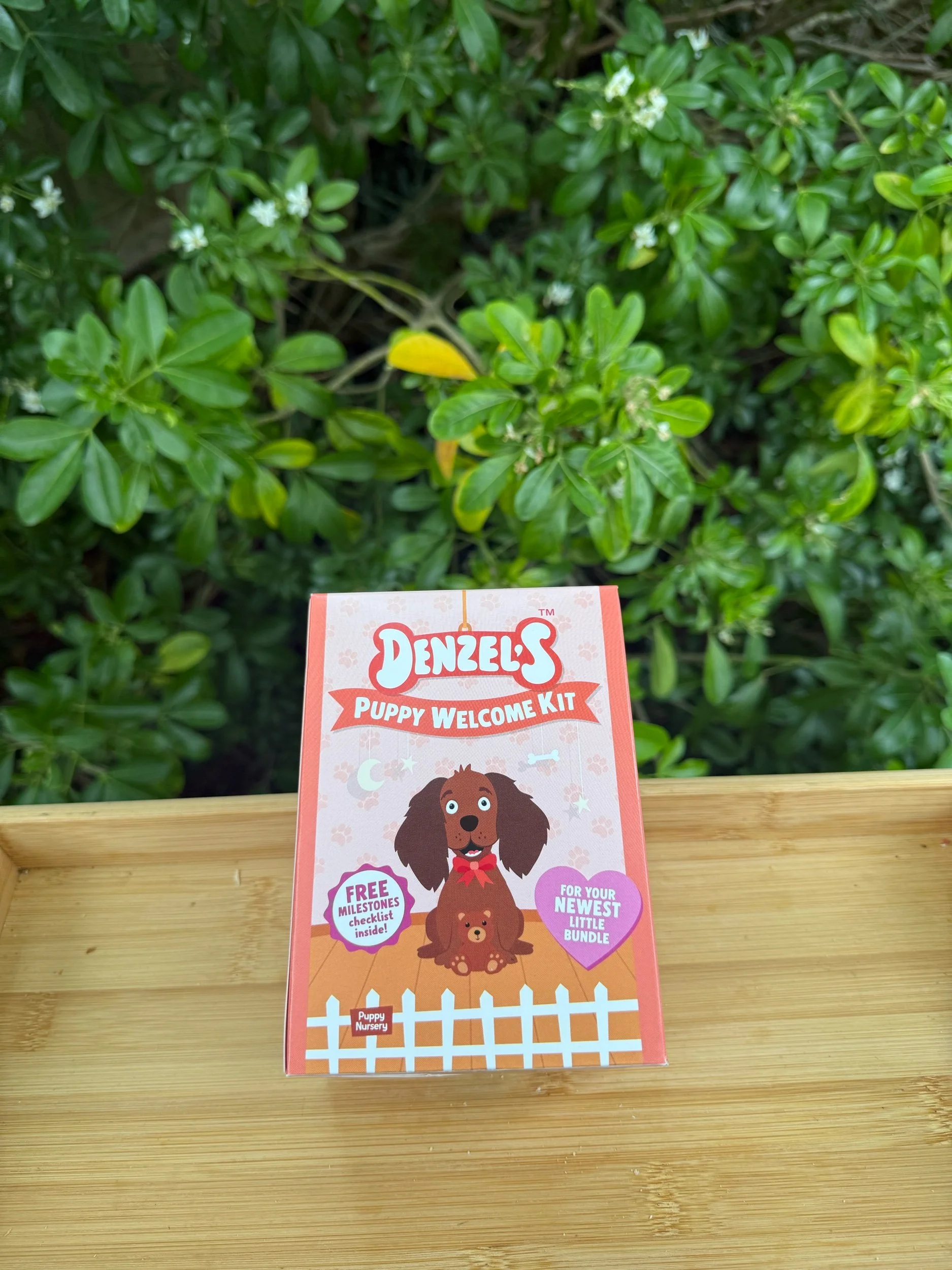 Denzels Puppy Gift Box