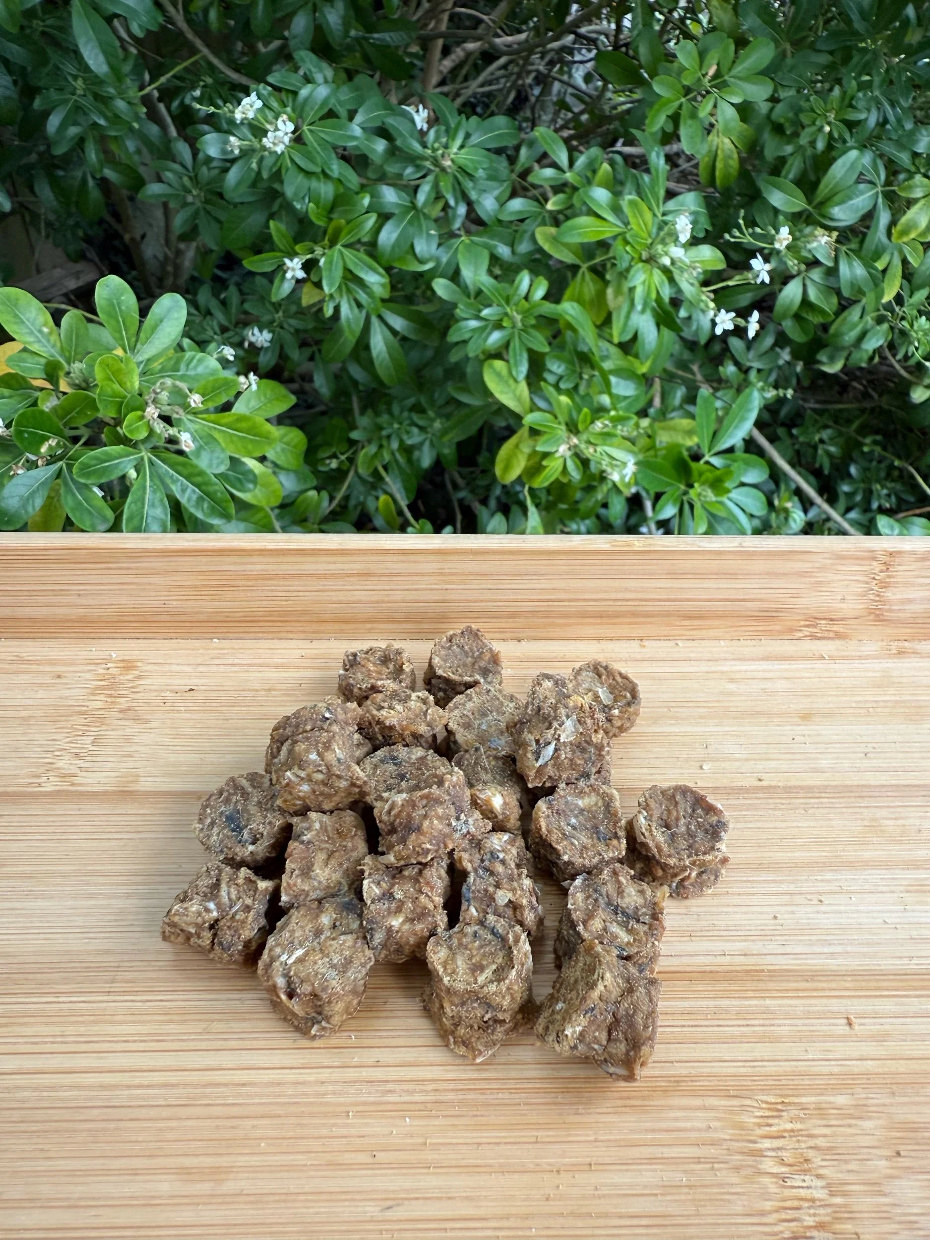 Salmon Medallions Training Treats