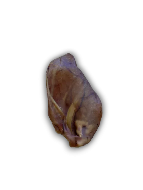 Pig Ears