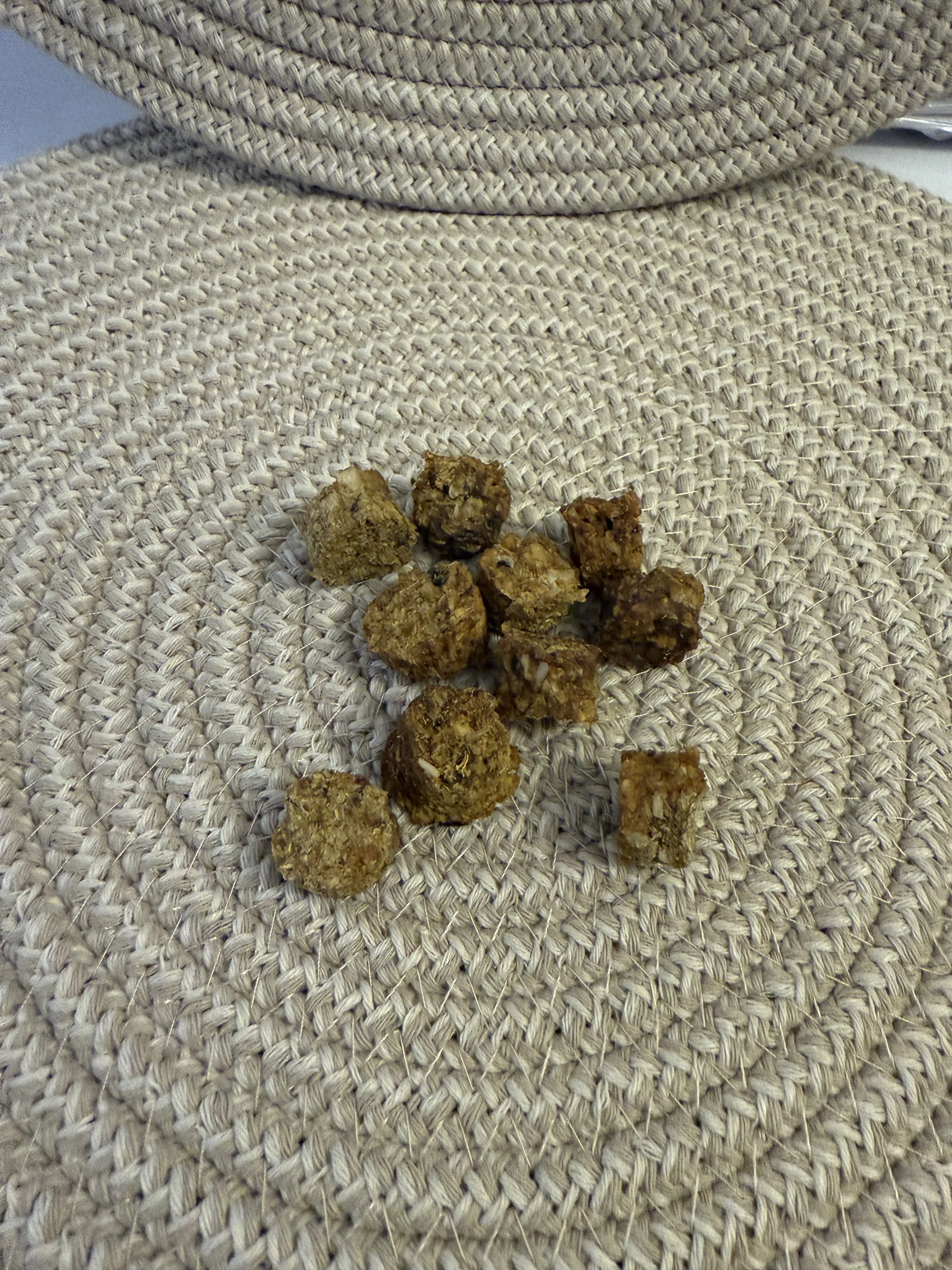 salmon medallions treats.jpeg