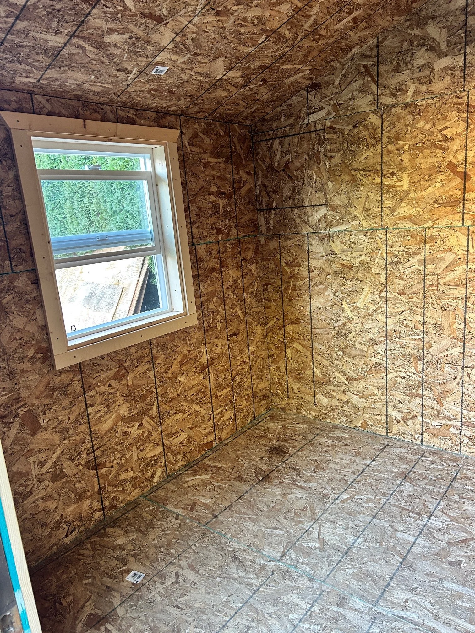 Shed Sheeted inside with new window
