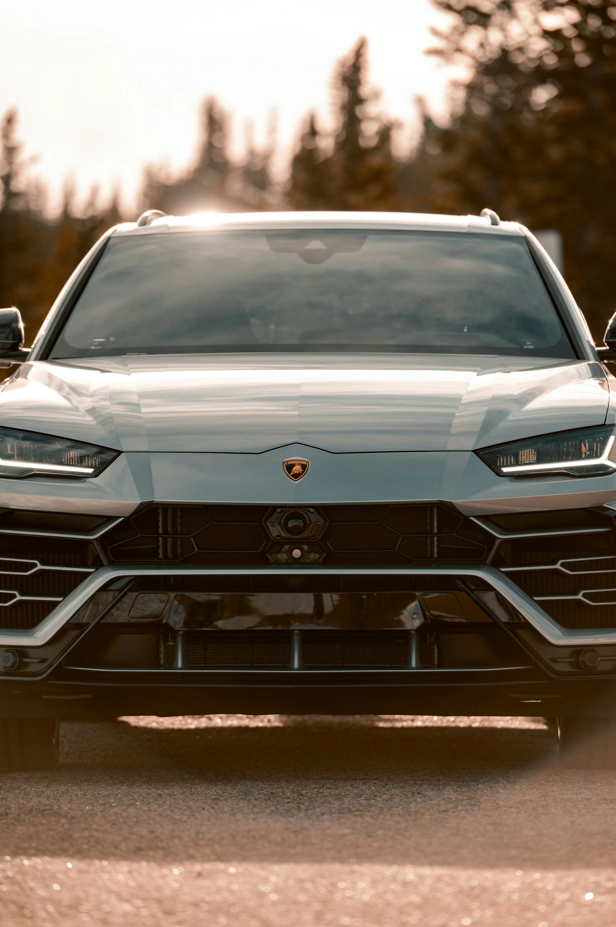 San Diego Van Rental