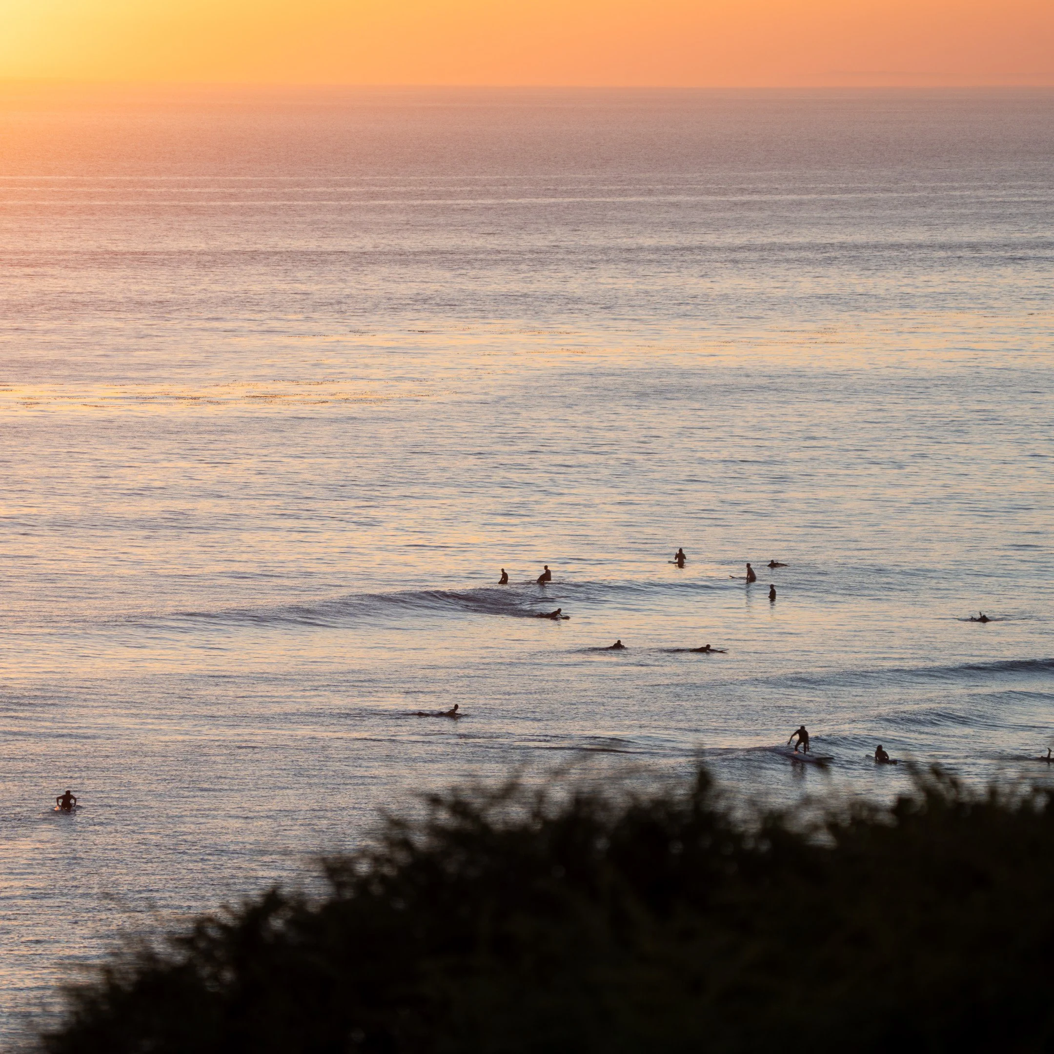 San Diego Surf Van Rental