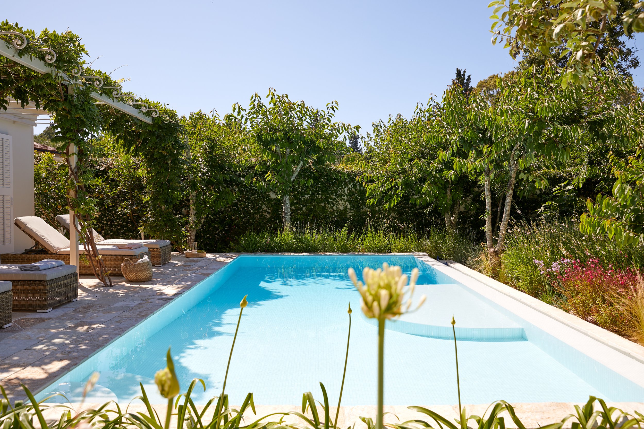 A backyard swimming pool surrounded by lounge chairs, greenery, and trees on a sunny day.