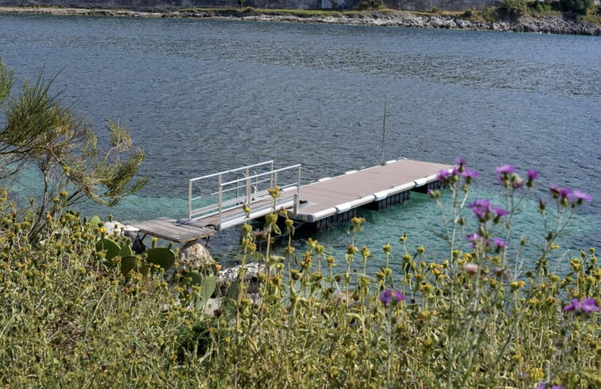A small dock extending into clear blue water, surrounded by green and purple wildflowers and foliage.