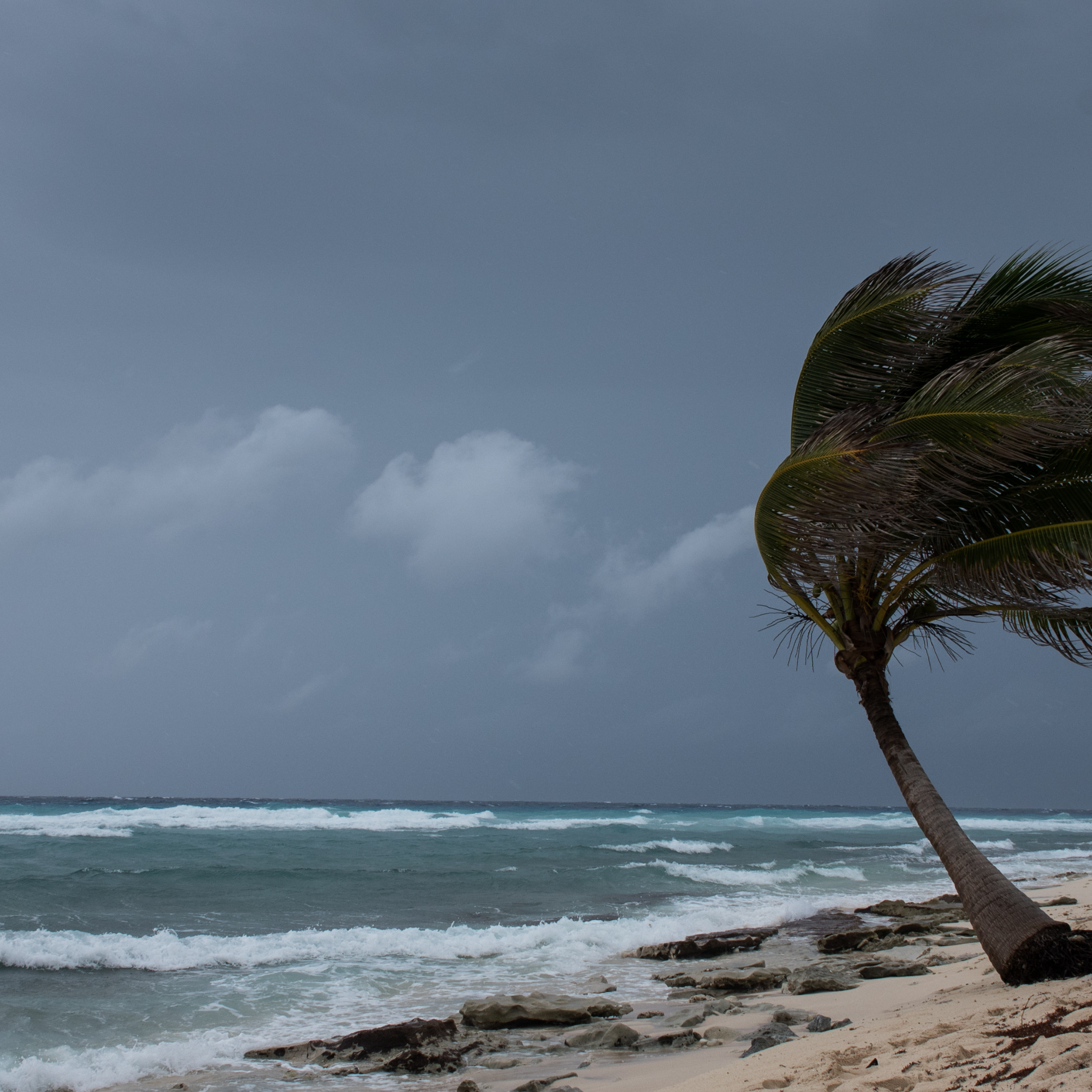 Hurricane Season in Florida: What Buyers Should Know